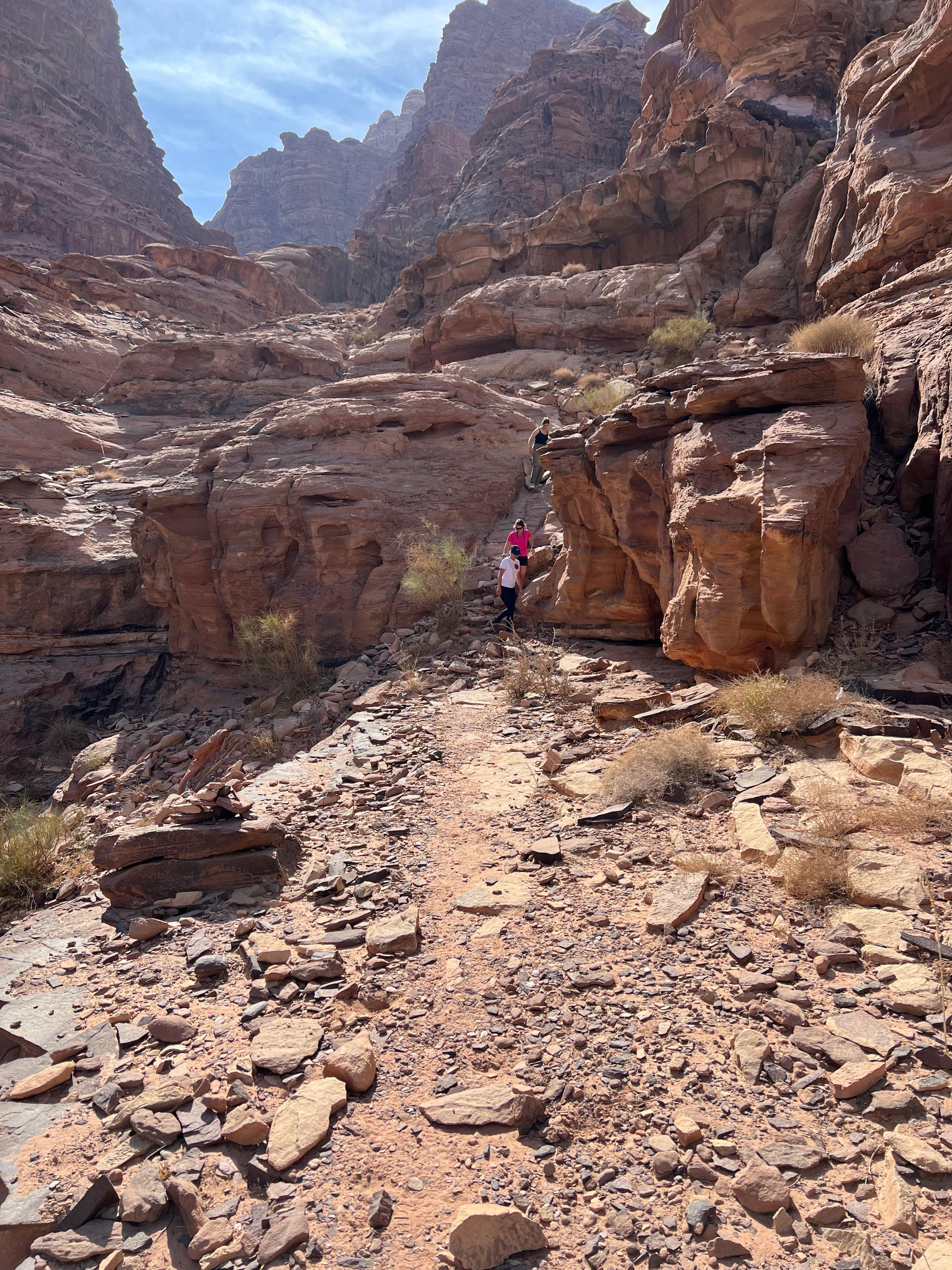Wadi Rum: Full-Day Tour with 2 Bedouin Guides & Camp Stay 2