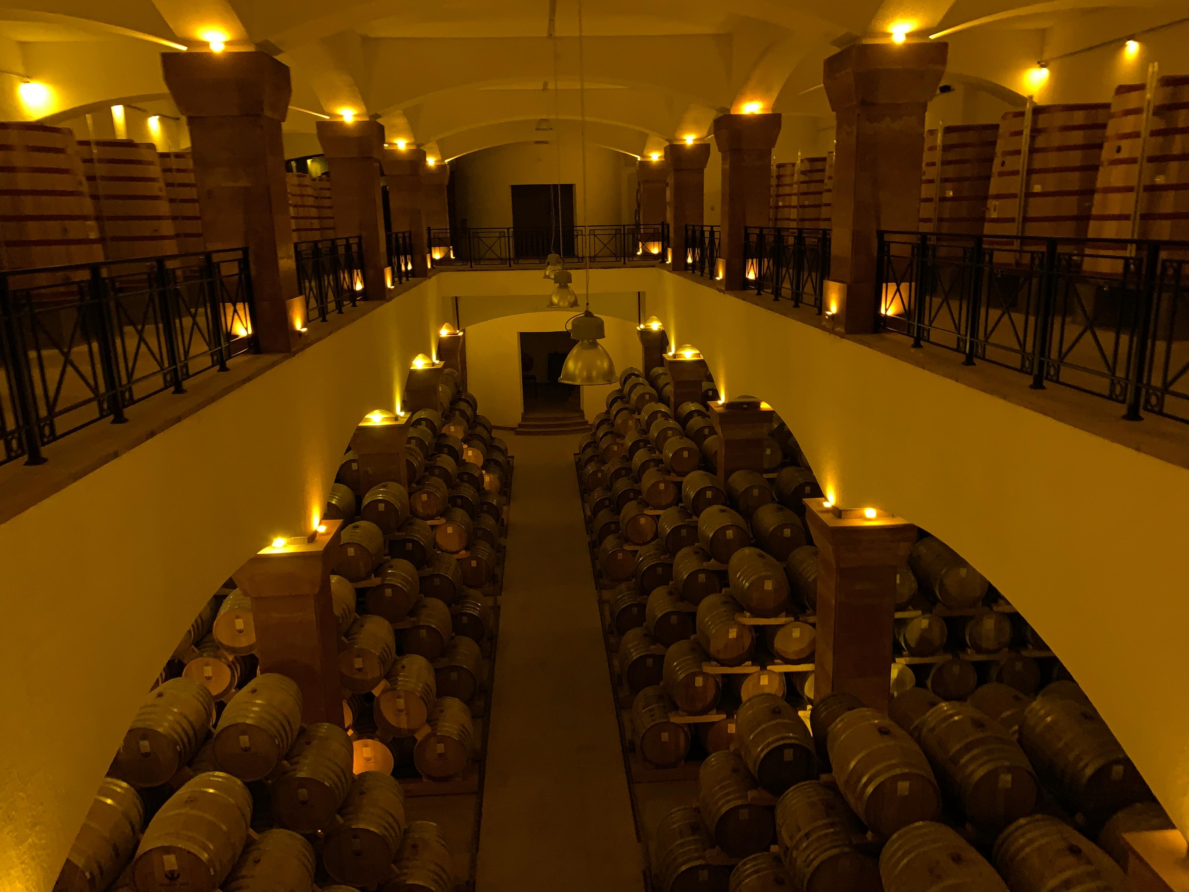 From Yerevan: Amberd Fortress and Wine Tasting Day Tour 2