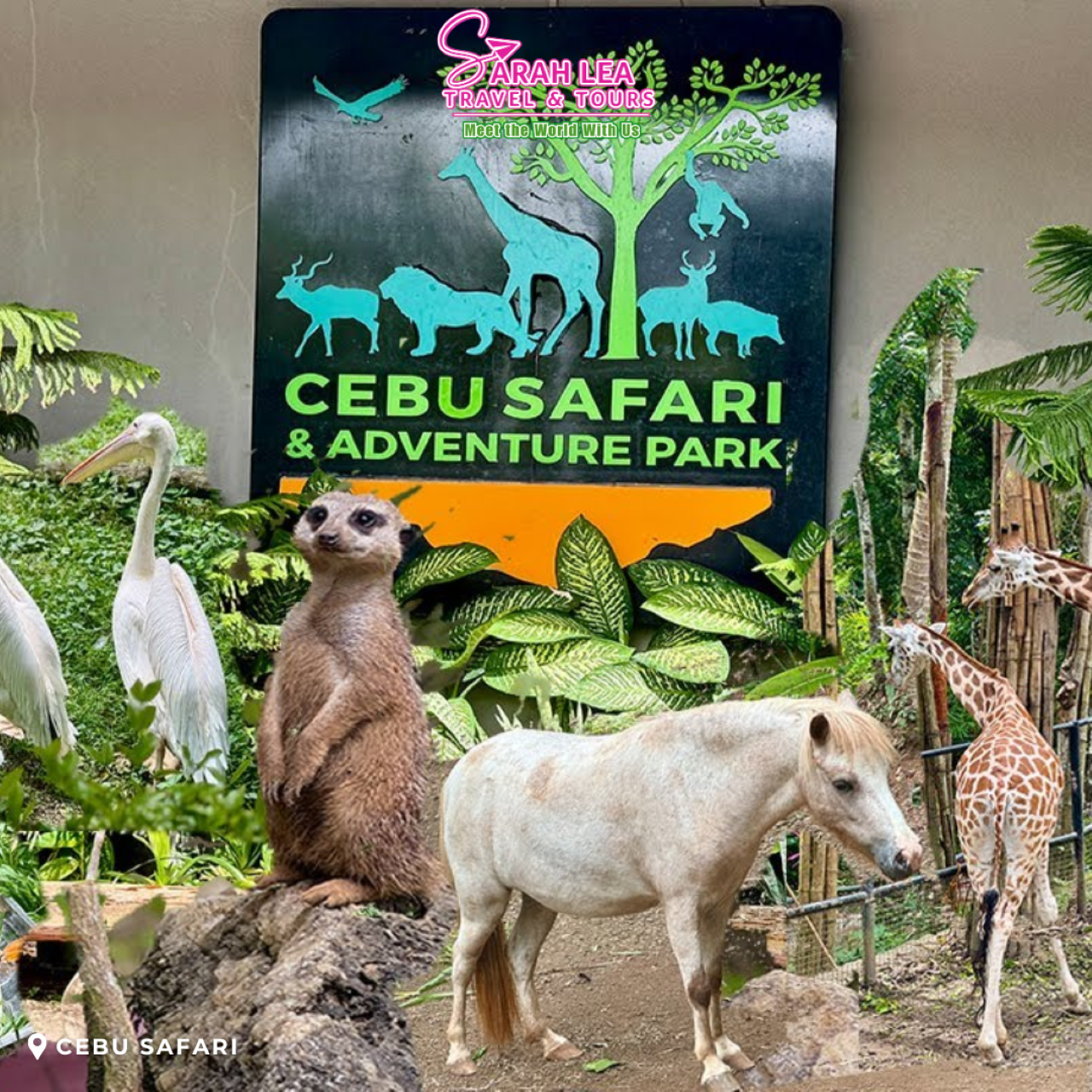 From Cebu City: Full-Day Wildlife Safari & Savanna Ride 3