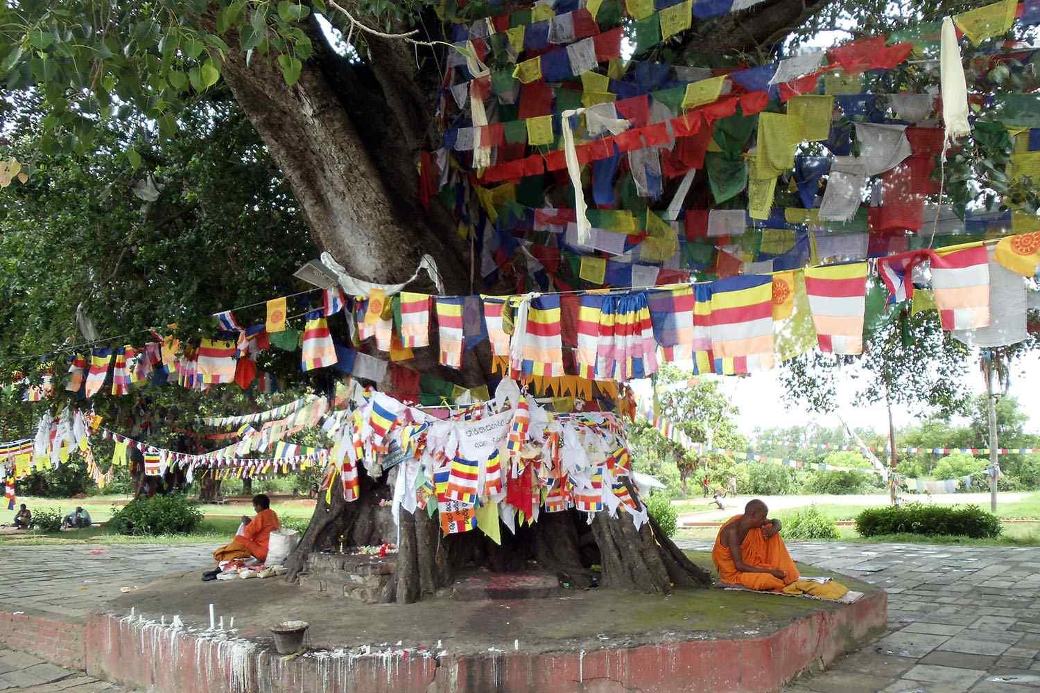 Lumbini Buddhist Pilgrimage Tour From Kathmandu 2 Days 3