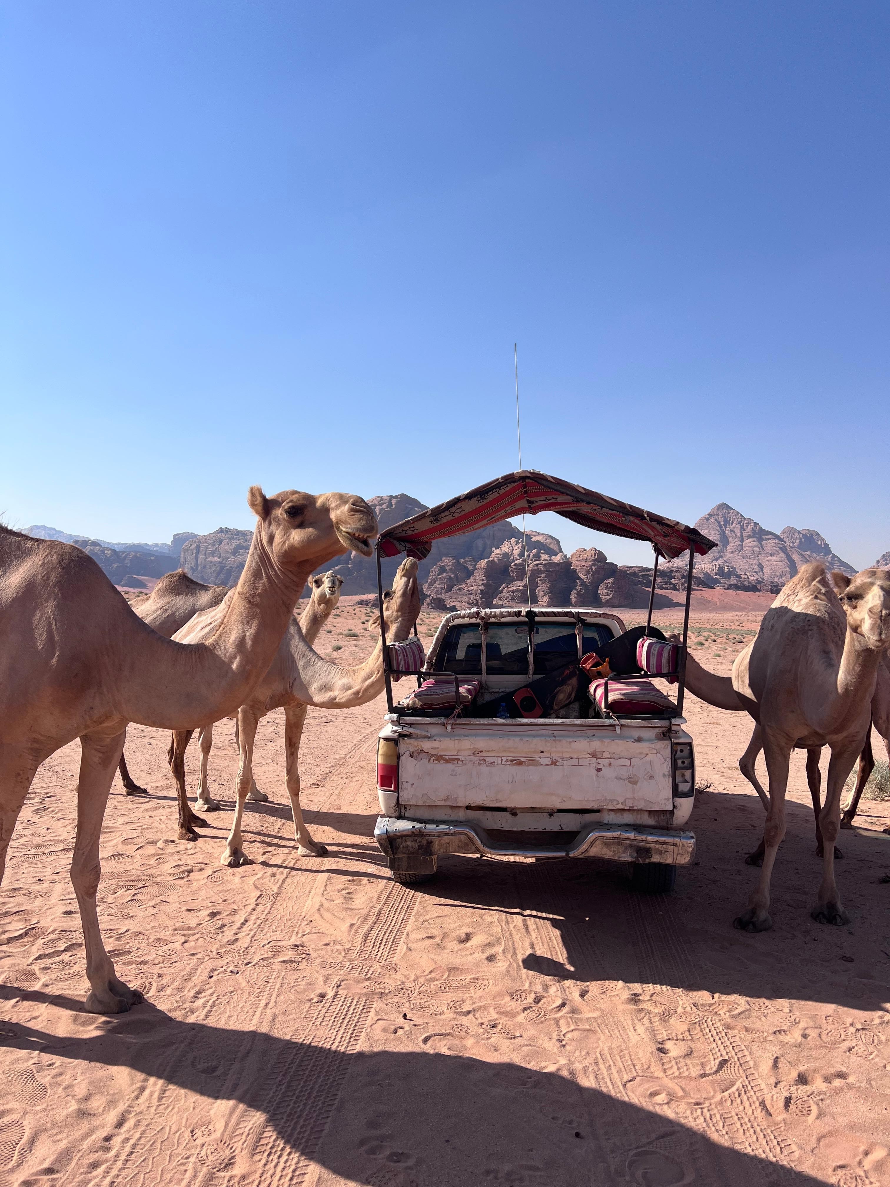 Wadi Rum: 5-hour Jeep tour with sandboarding, sunset,and tea