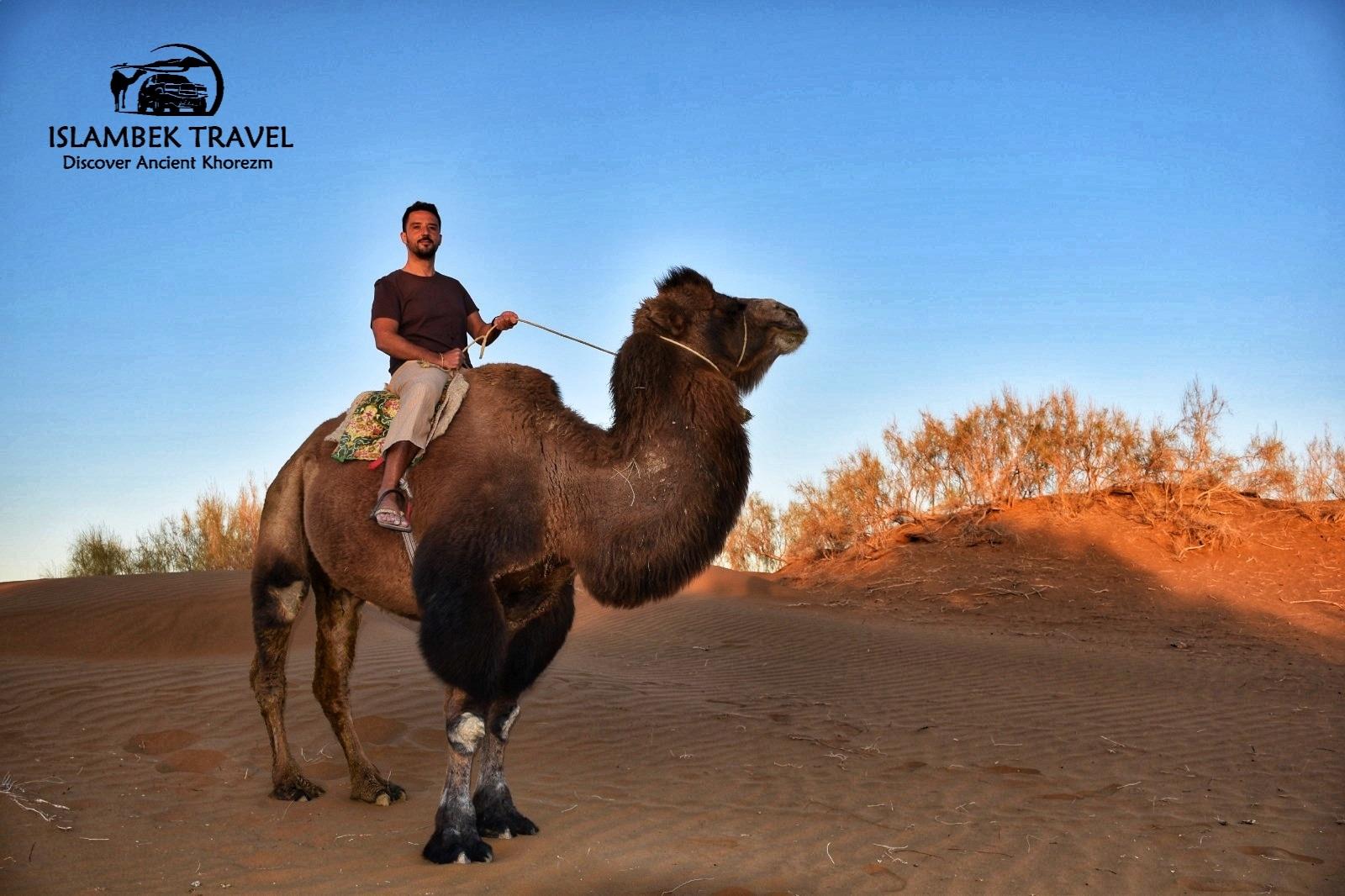 Khiva: 2-Day Desert Fortres Trip with Yurt Camp Stay & Meals 2