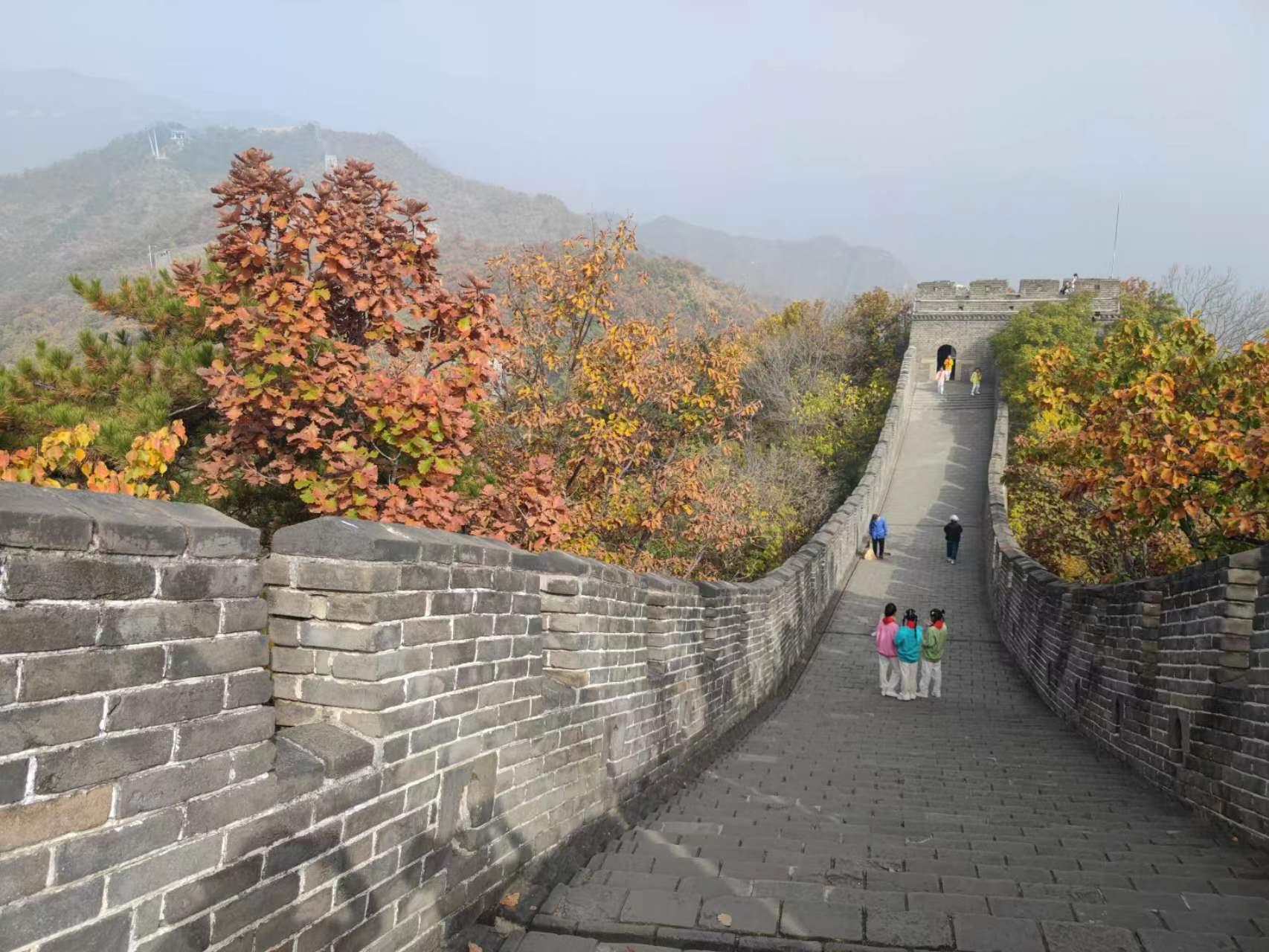 Private Trip to Great Wall+Panda House with English Driver