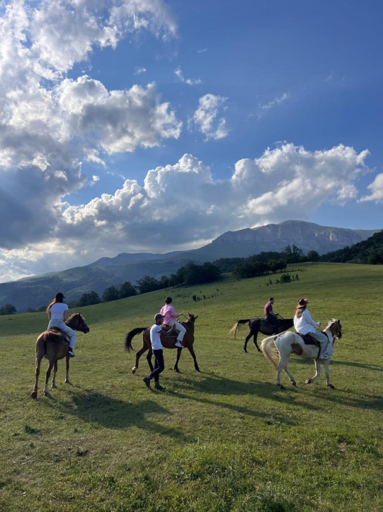 Horseback riding in Dilijan 3