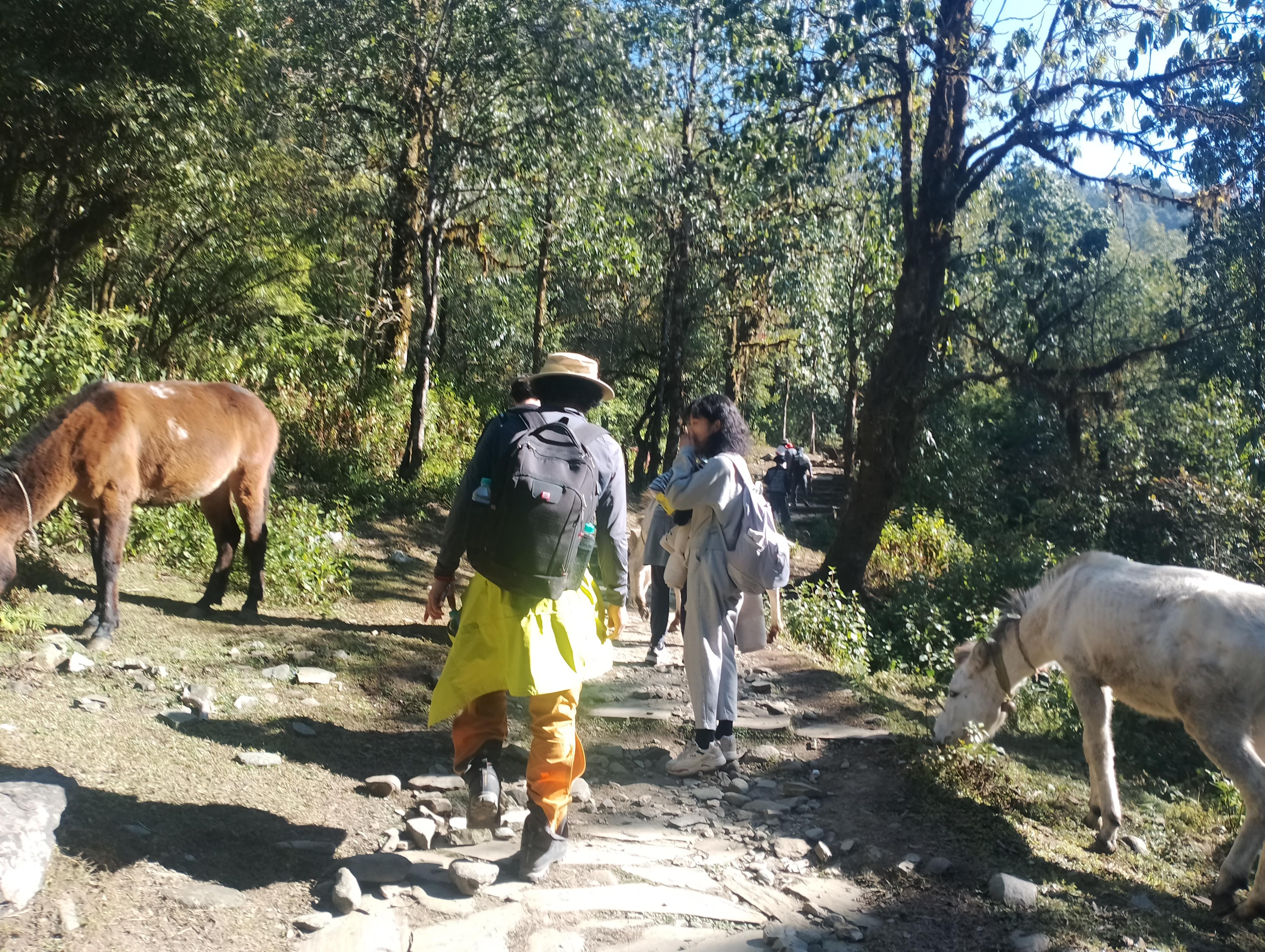 1 Night 2 Days Camping Tour at Australian Camp (Trek) 3
