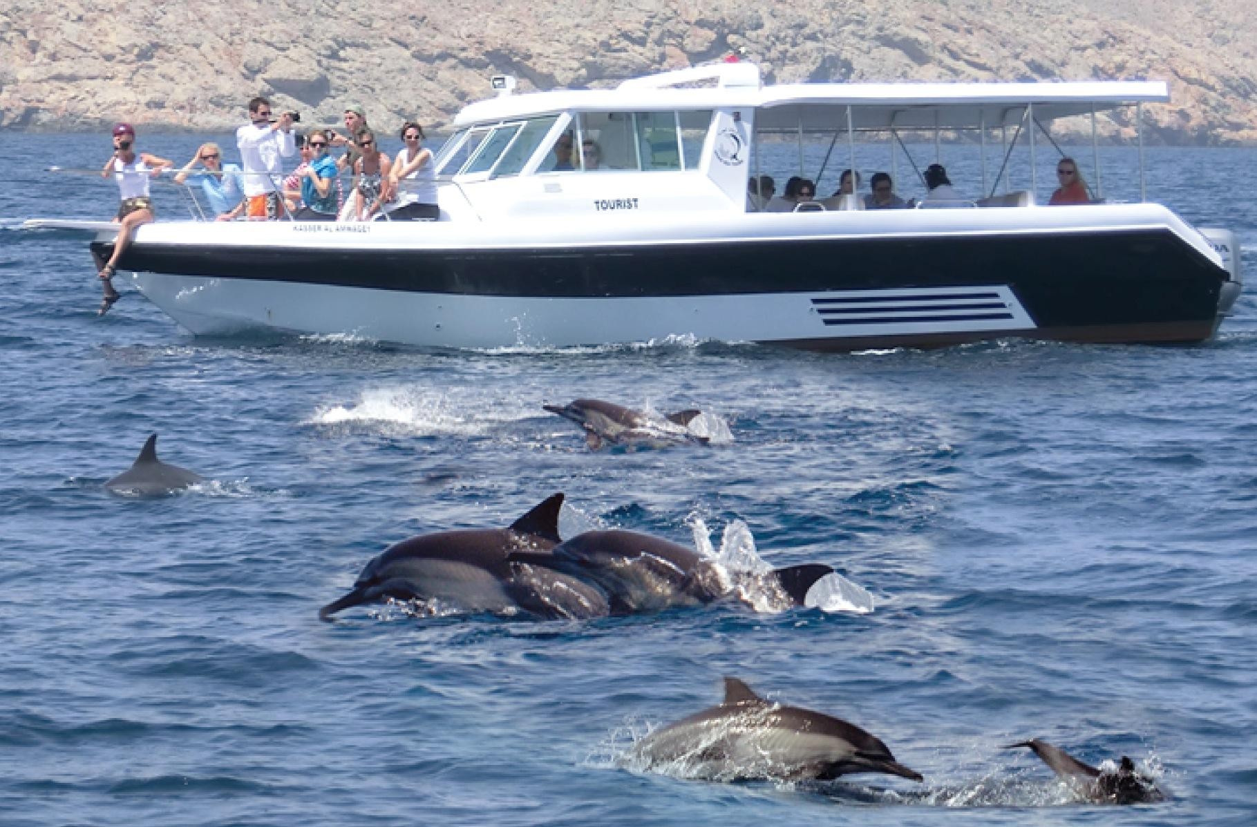 From Muscat: Discover Dolphins Day Trip 2