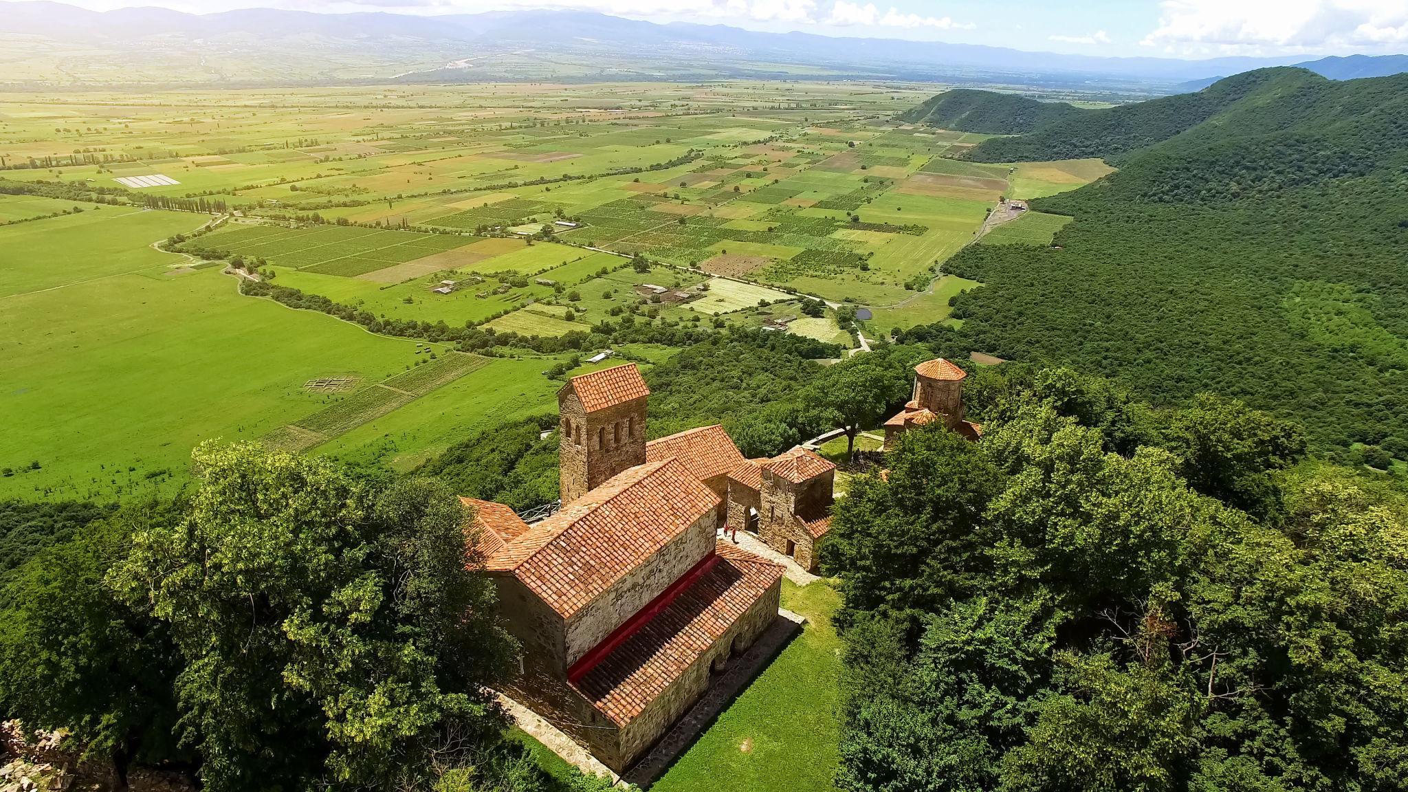 From Tbilisi: Kakheti Private Tour with Wine Tasting 2