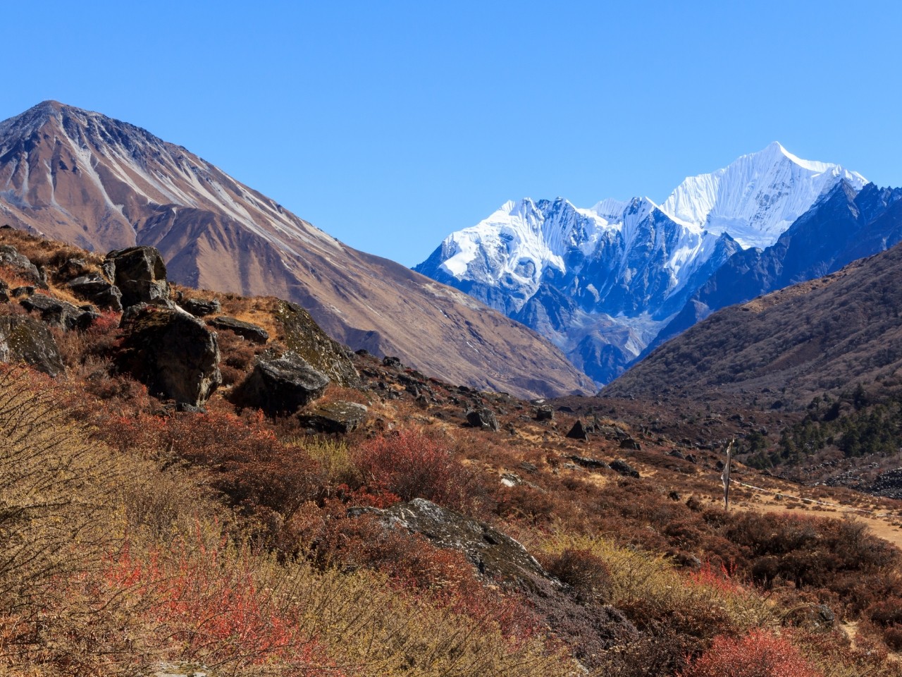 Kathmandu: 6 Days Langtang Valley Trek with Kyanjin Ri 3