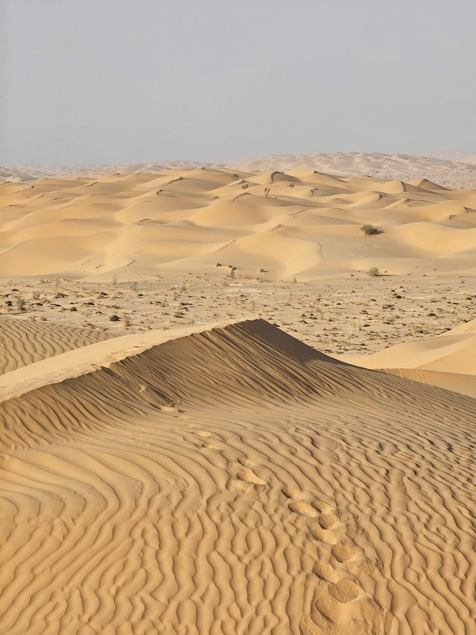 Salalah: Legendary Rub’ al Khali Overnight Desert Safari 3