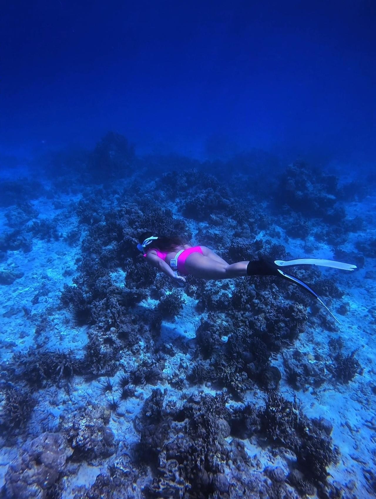Bantayan Island: Fundive Freediving Excursion