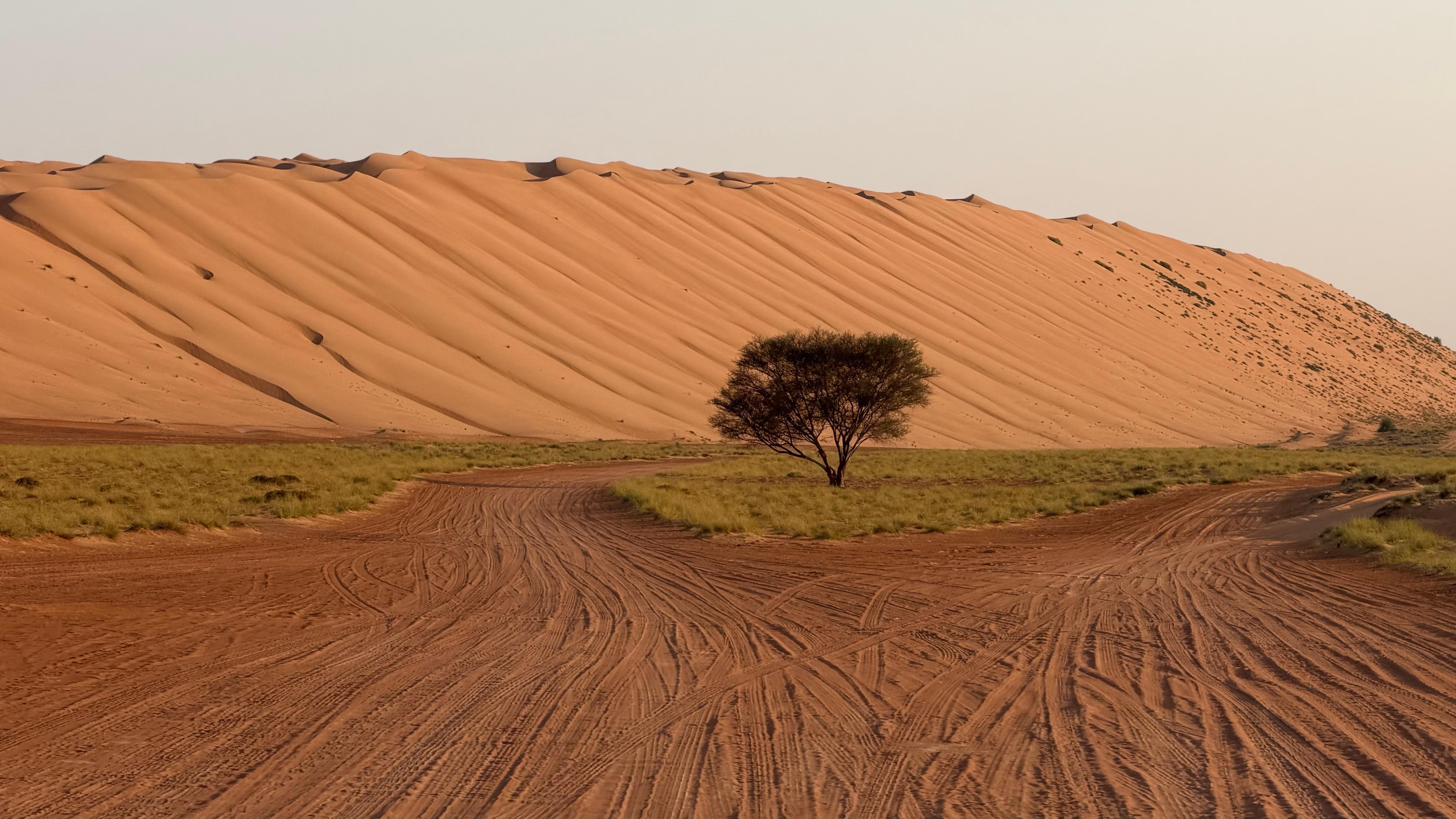 From Muscat: Wahiba Sands Desert & Wadi Bani Khalid Day Tour