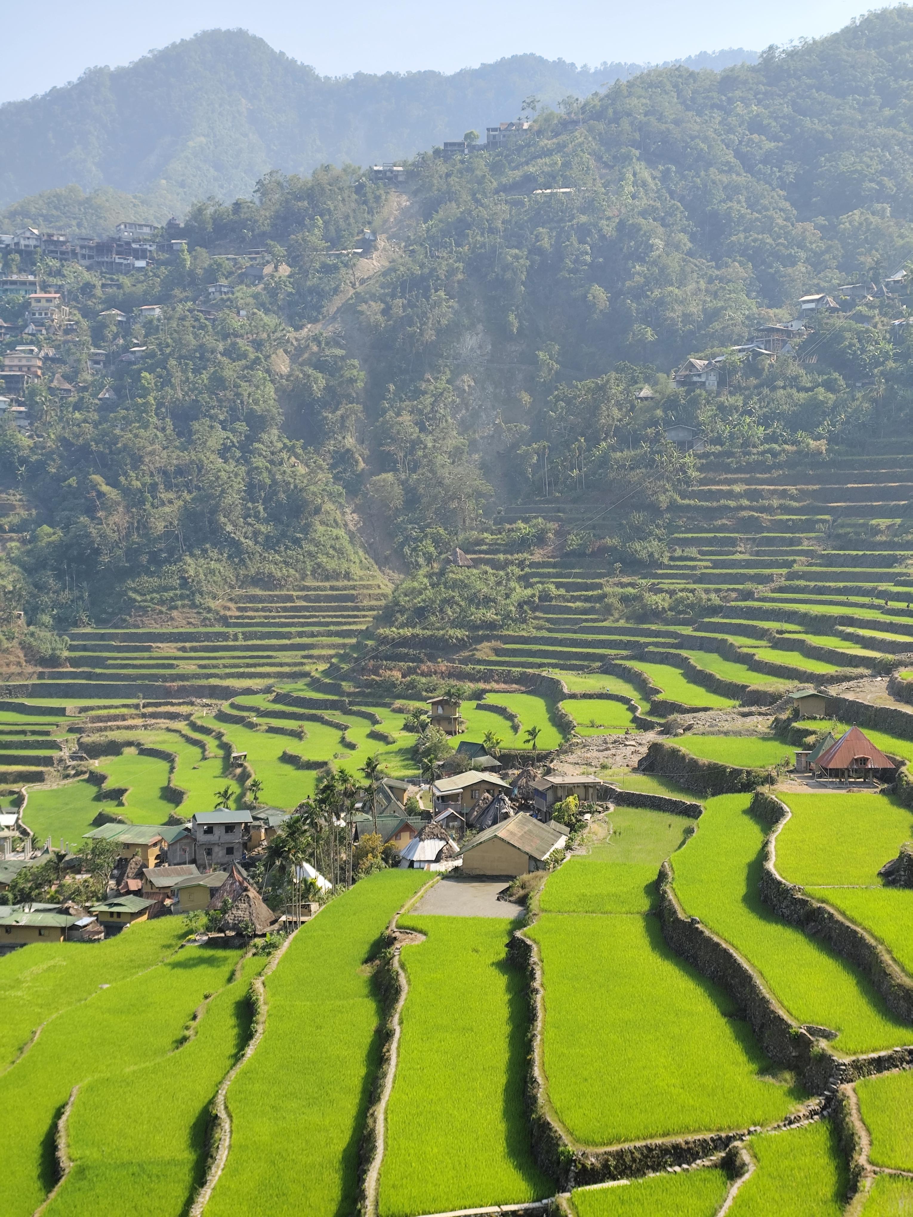 Banaue Rice Terraces and Sagada Tour