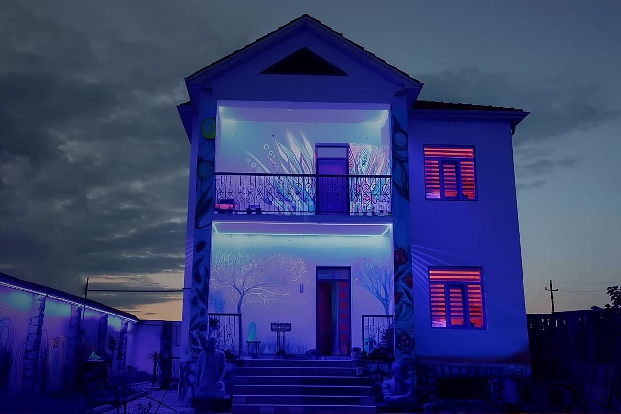 Baku: Neon Art Museum Guided Tour with Optional Masterclass