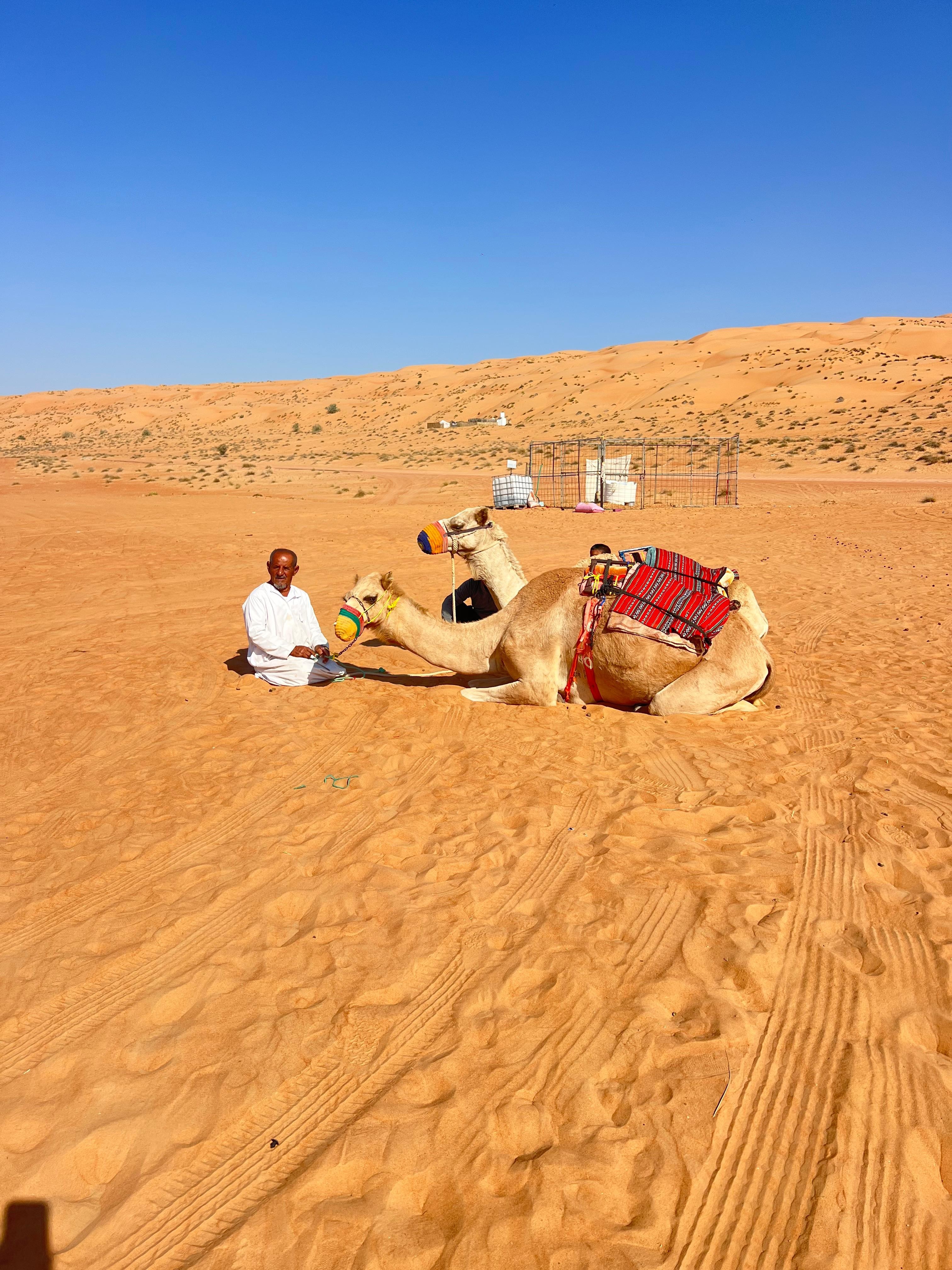 From Muscat: Wahiba Sands Tour, Wadi Oasis & Bedouin Visit 2