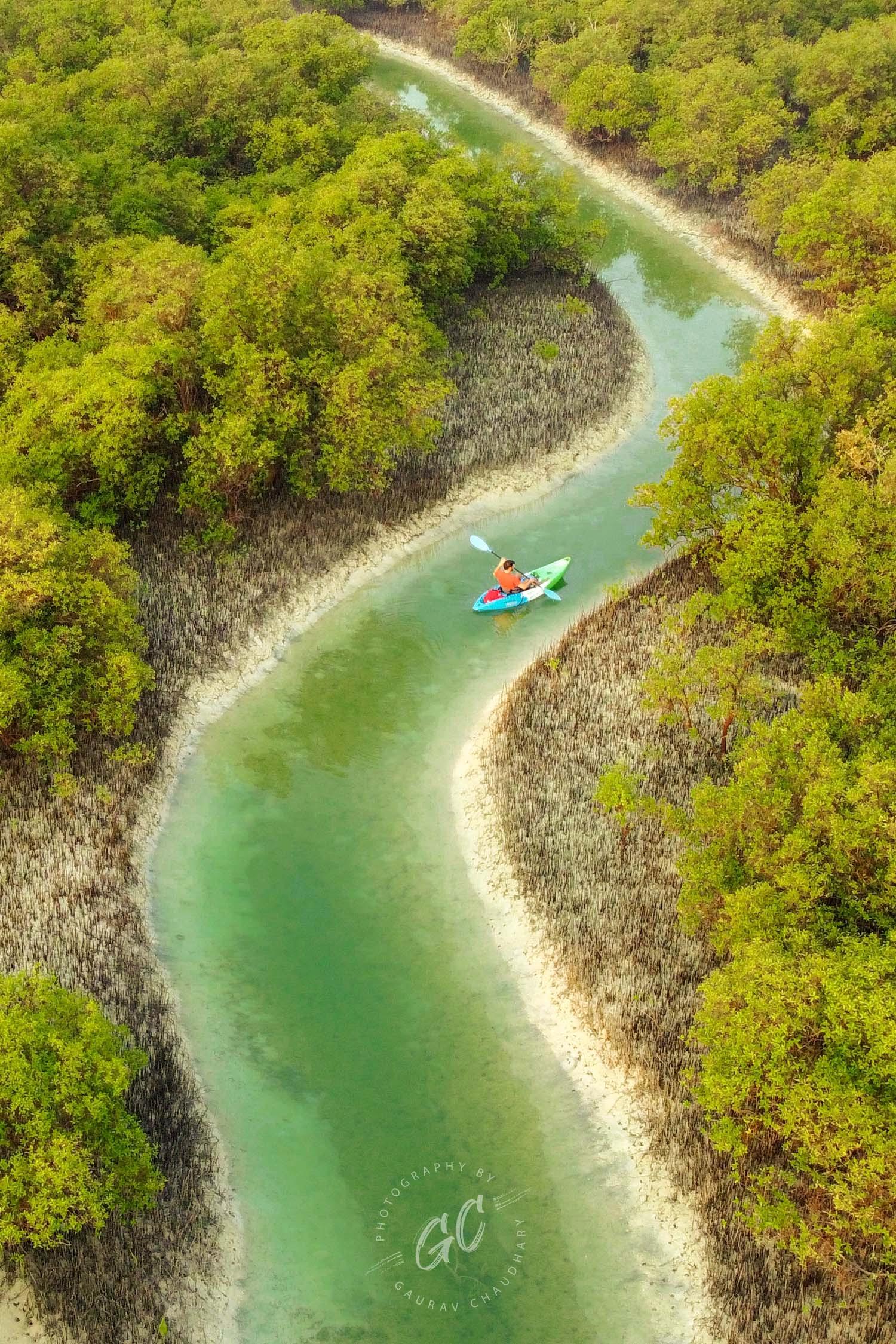 Abu Dhabi: Reem Central Park 2-hour Guided Kayak Tour 2