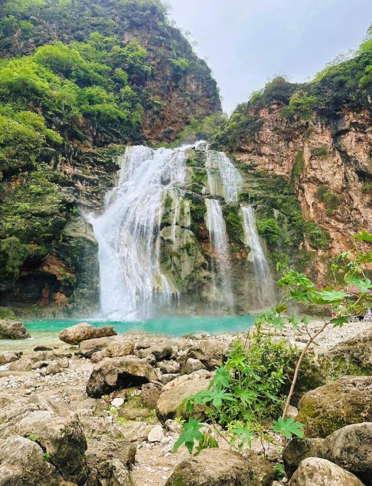 Full-Day Salalah Wonders: Wadi Darbat, Jabal Samhan & Baobab 2