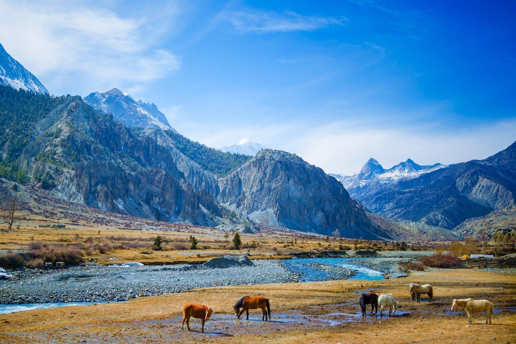 Jeep Trip to Upper Mustang