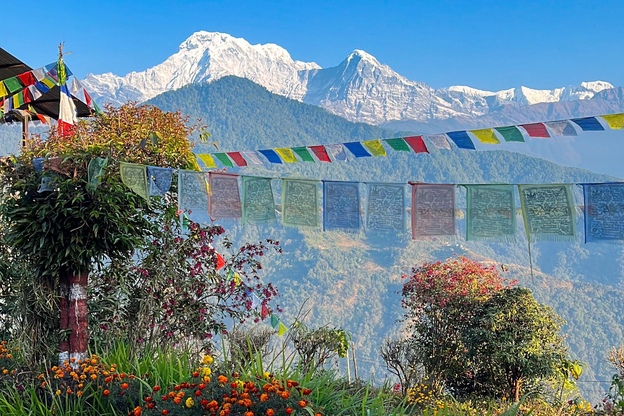 From Pokhara: 2-Day Private Australian Camp & Dhampus Trek