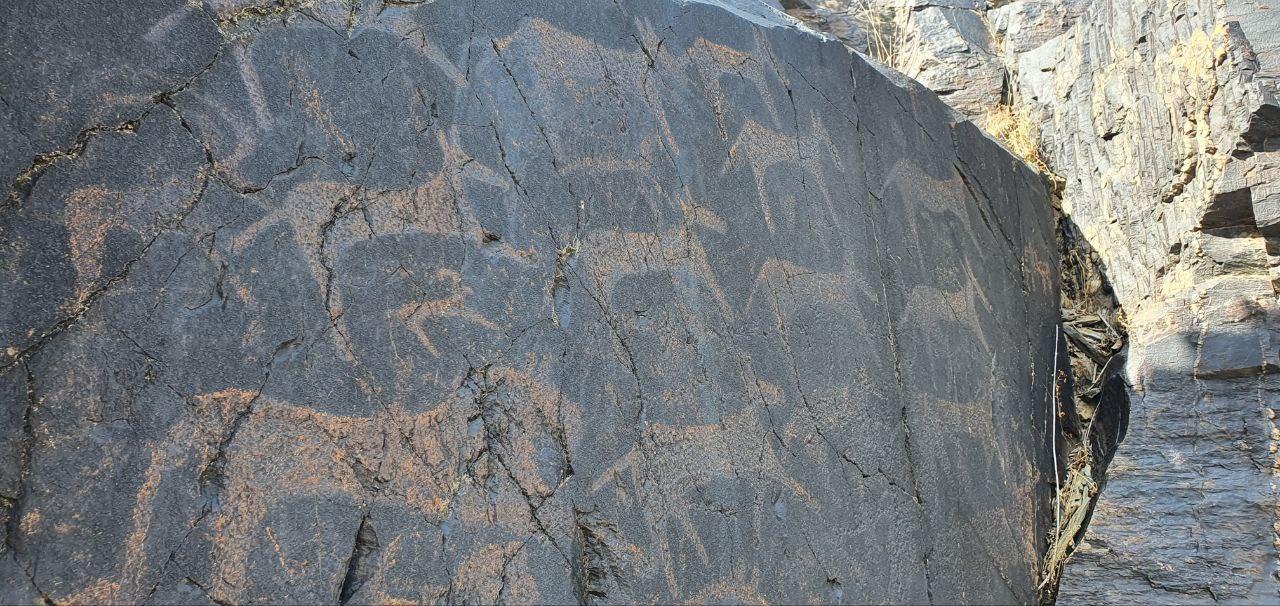 Bukhara: Sarmish-Soy Gorge Petroglyphs Day Trip