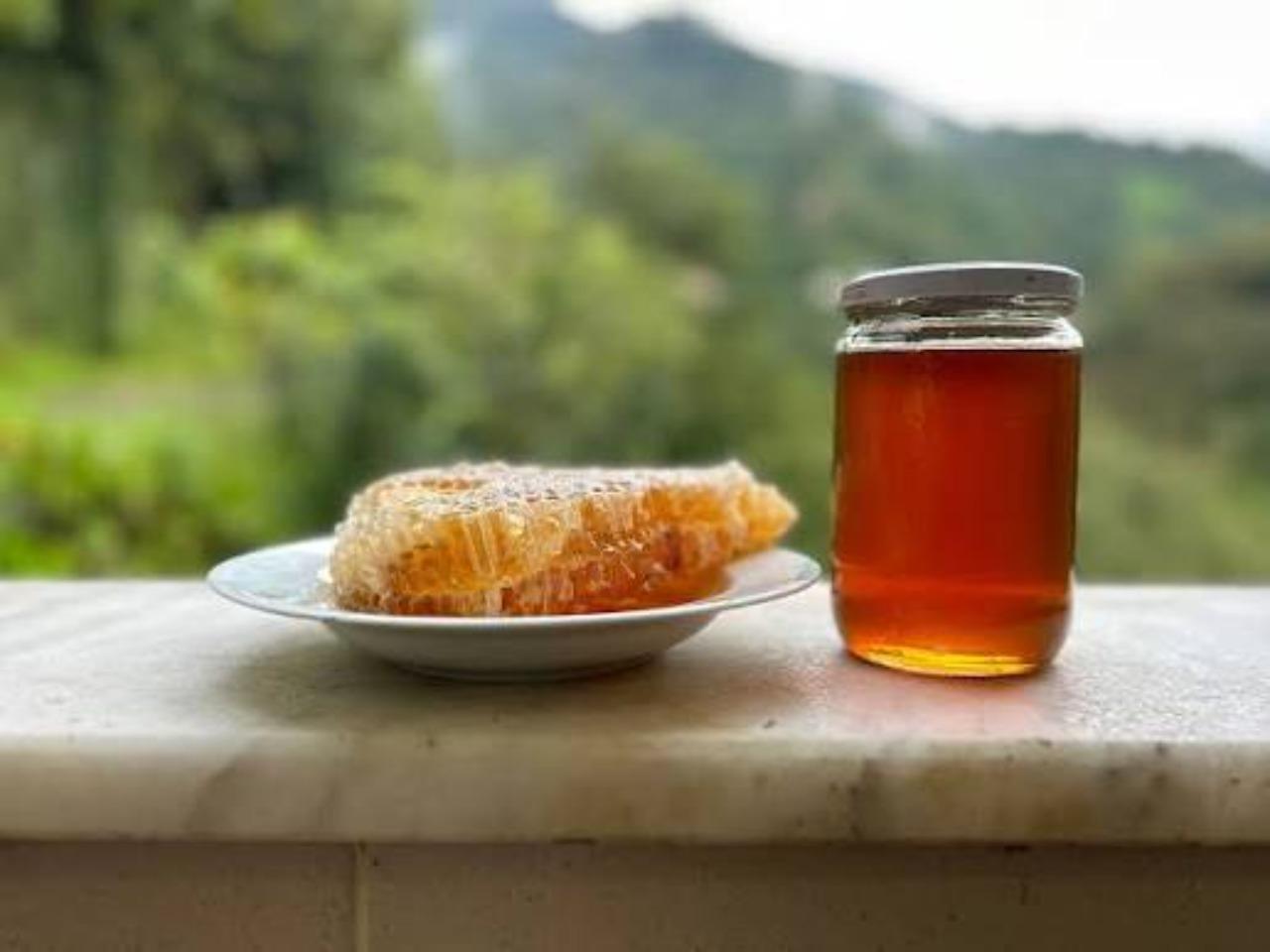 Kathmandu: Himalayan Honey Tasting and Walking Tour