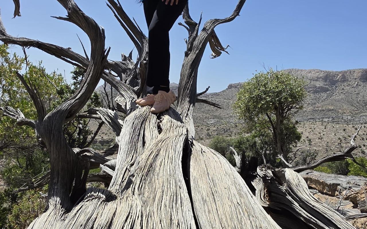 Muscat: Jebel Shams Top Peak Hiking Tour with Expert Guide 2