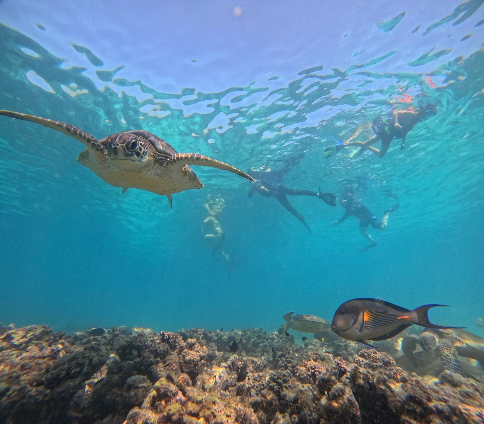 Daymaniyat Islands Snorkeling with Picnic Lunch 3