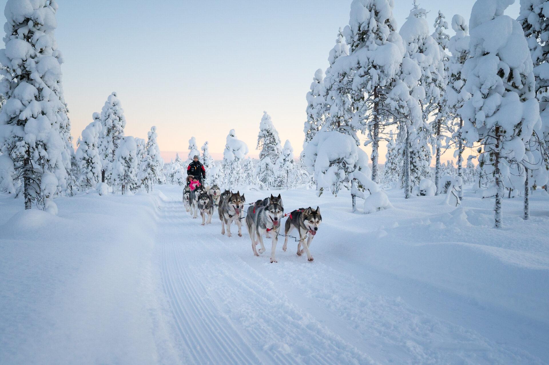 Gudauri Snow Odyssey: Private AWD Ski Adventure 2