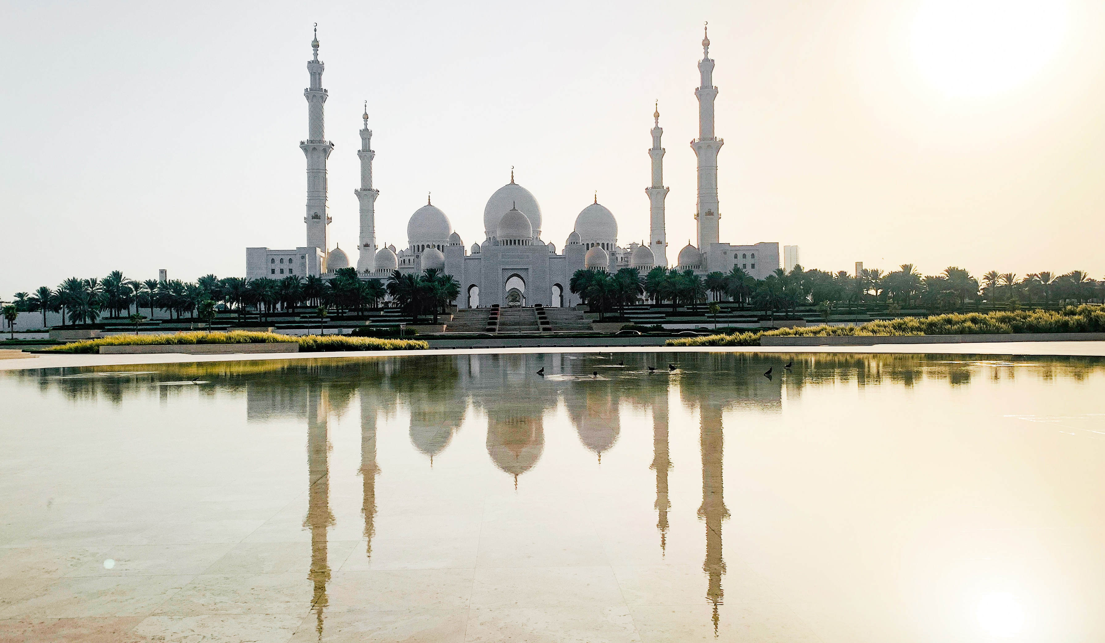 Abu Dhabi: 3-Hour Layover Sightseeing Tour