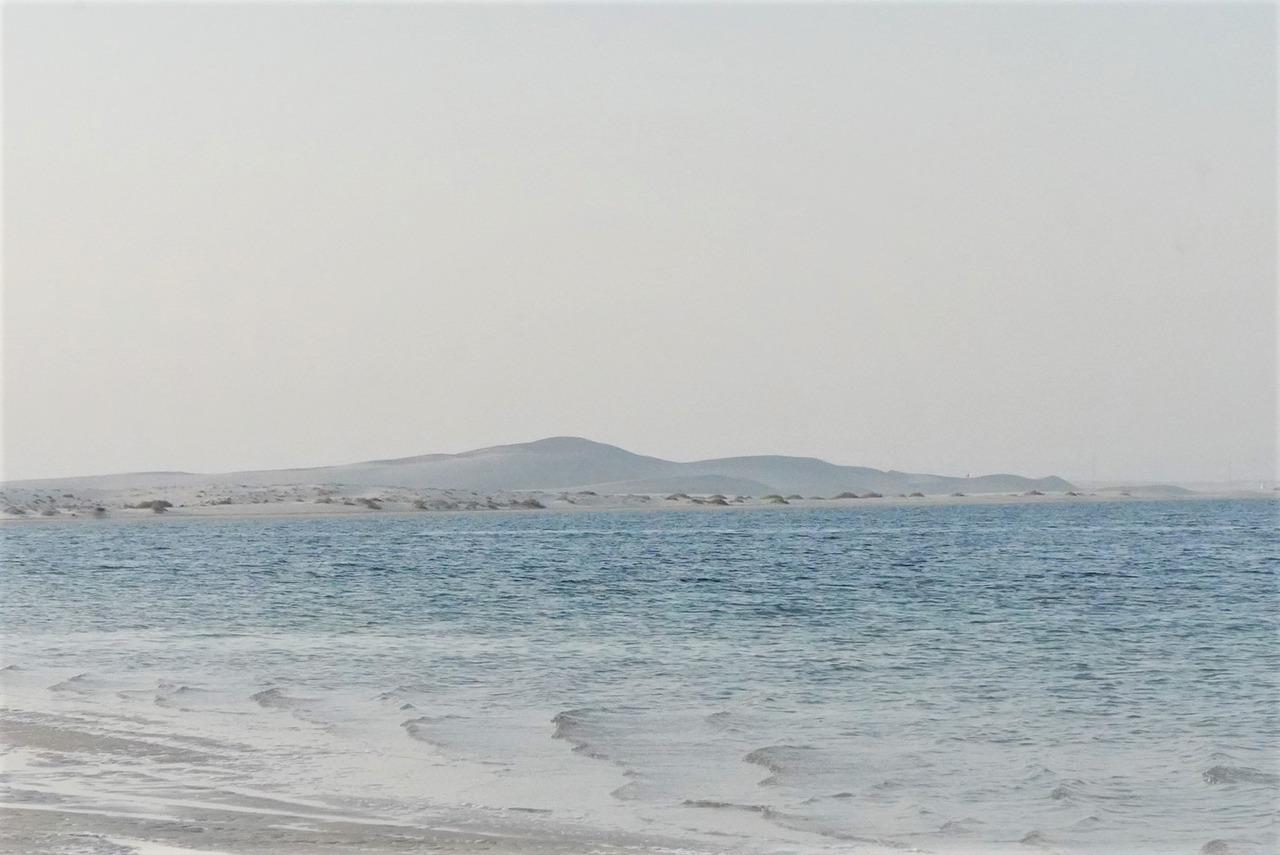From Doha: Inland Sea Fishing Trip with Transfers 3