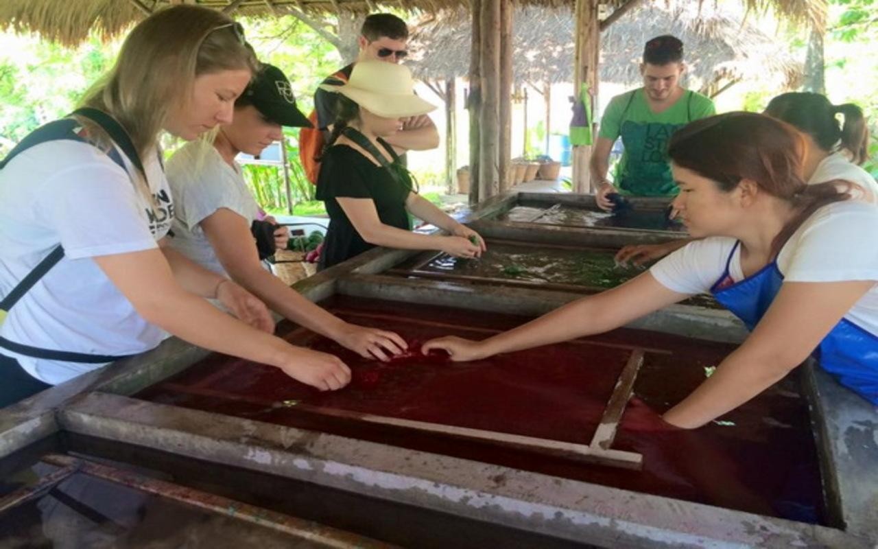 Jaipur: Elephant Poo Paper-Making Workshop with Tour Guide 3