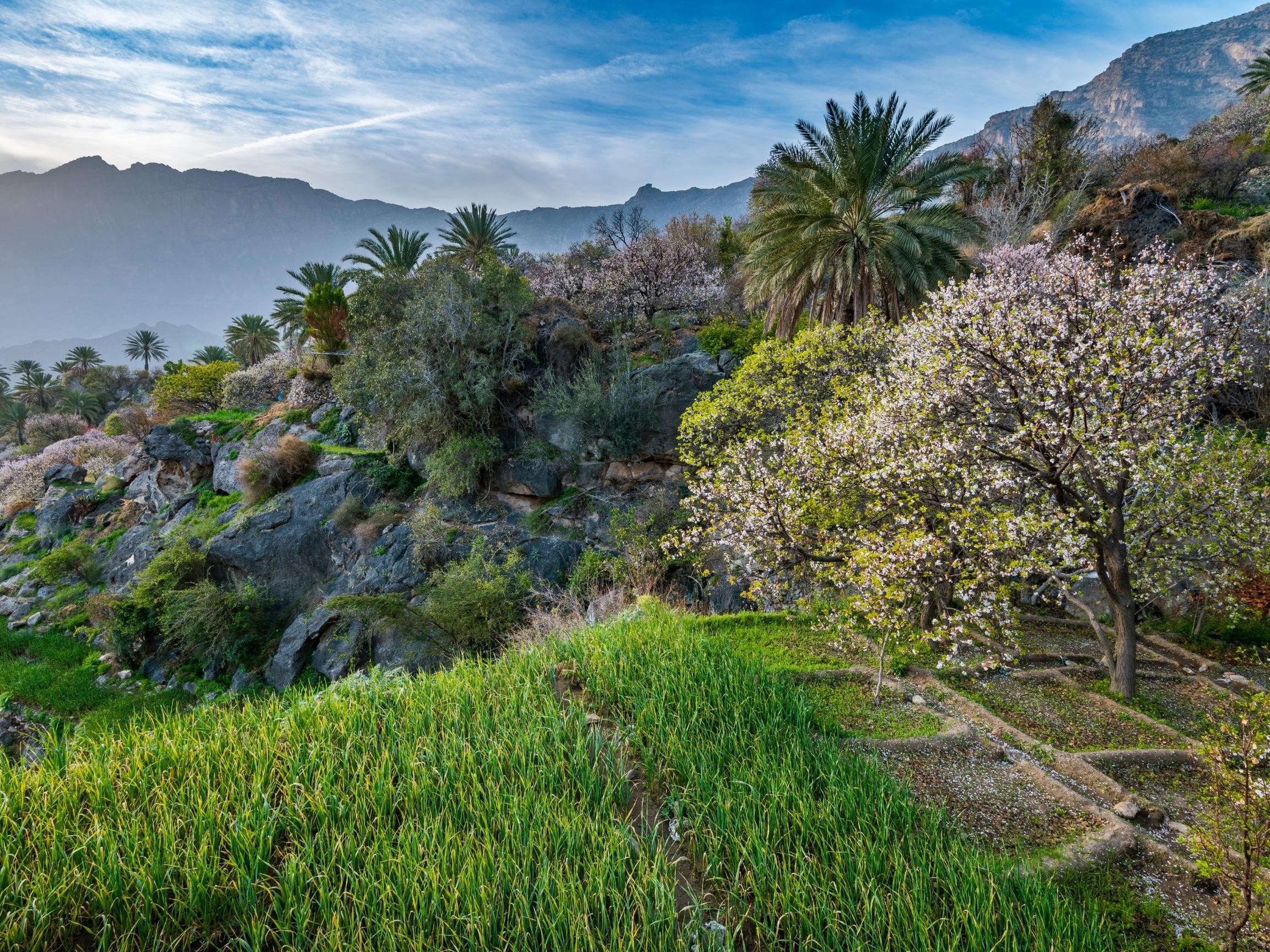 From Nakhal: History & Nature Trail - Nakhal & Wakan Village 2