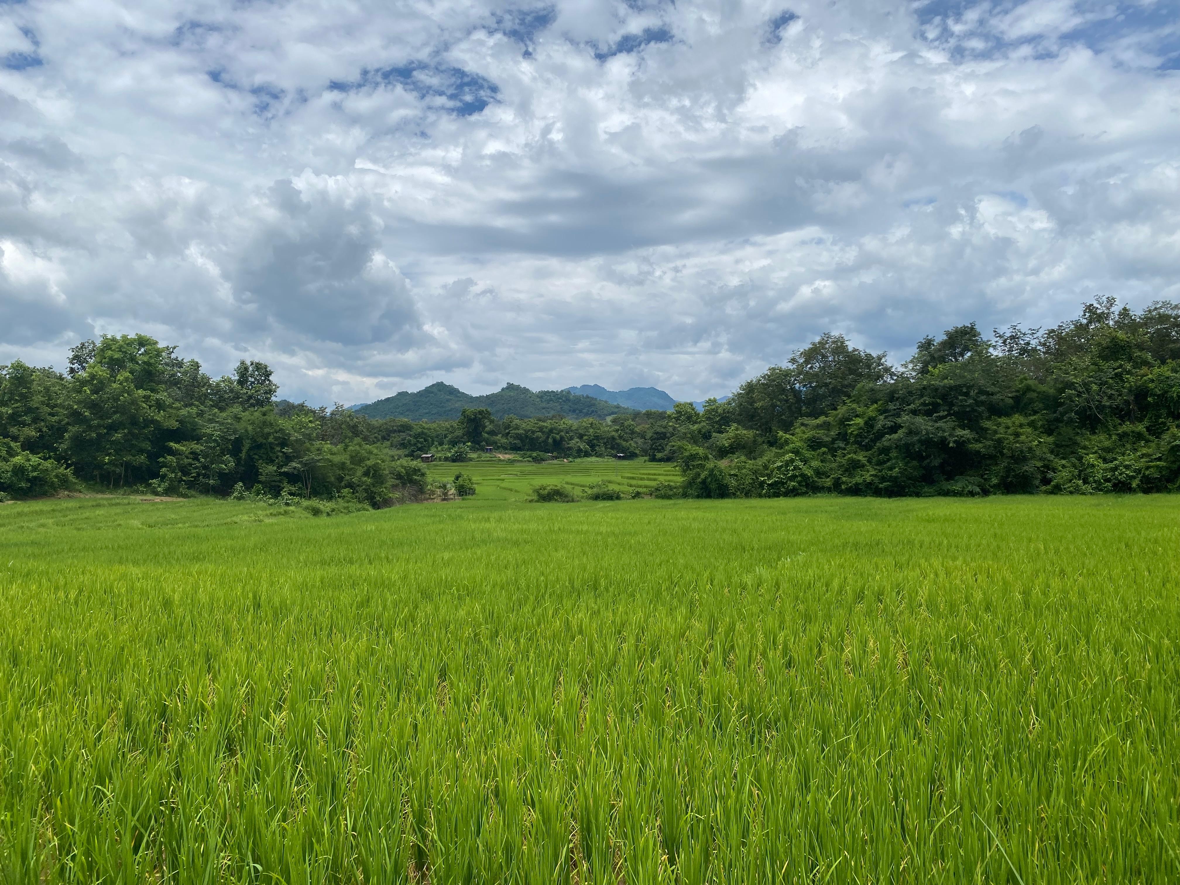 Cycling Through Rice Fields & Hidden Villages 2