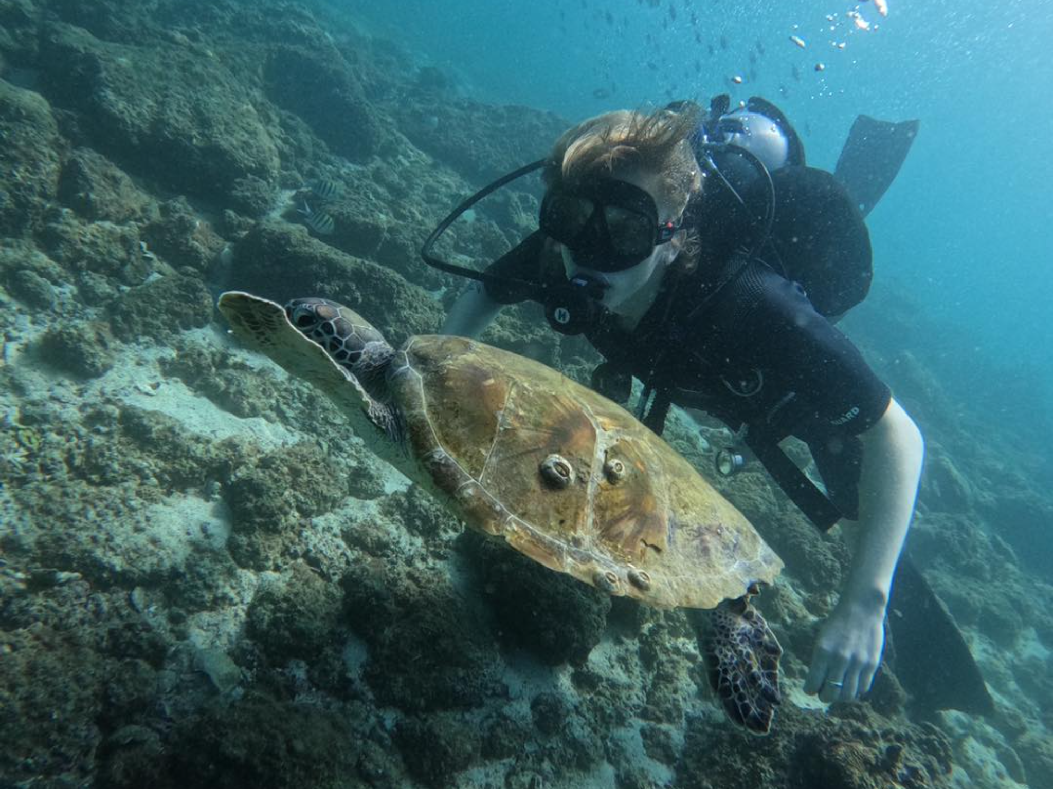 Oman: Discover Scuba Diving Experience 3