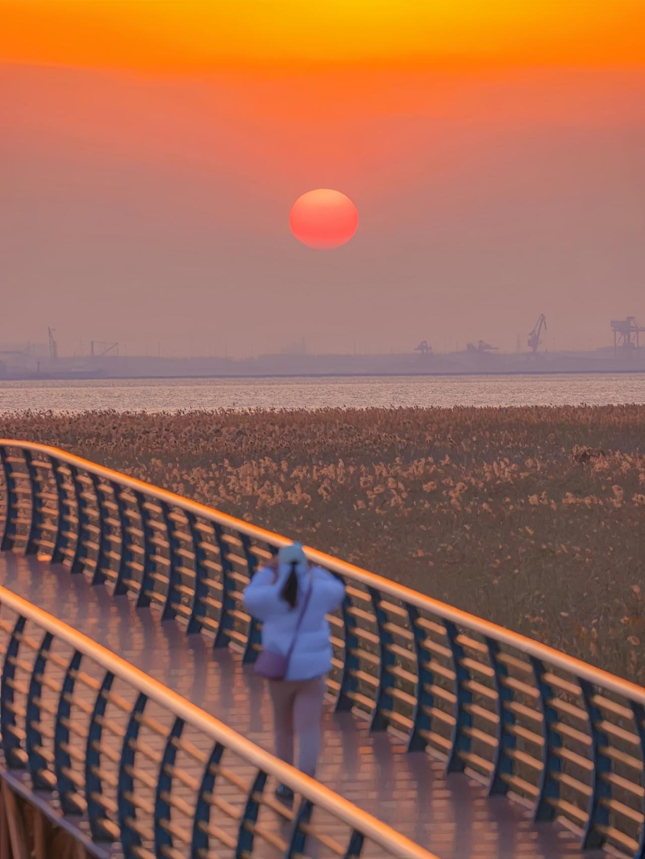 From Shanghai: Chongming Island Nature Day Trip with Sunset 3