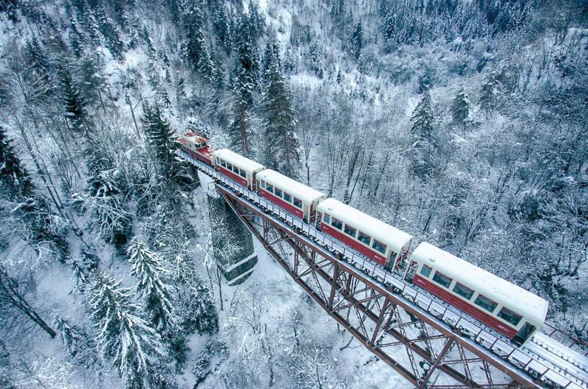 From Tbilisi: Borjomi, Stagveri & Bakuriani Winter Adventure 2