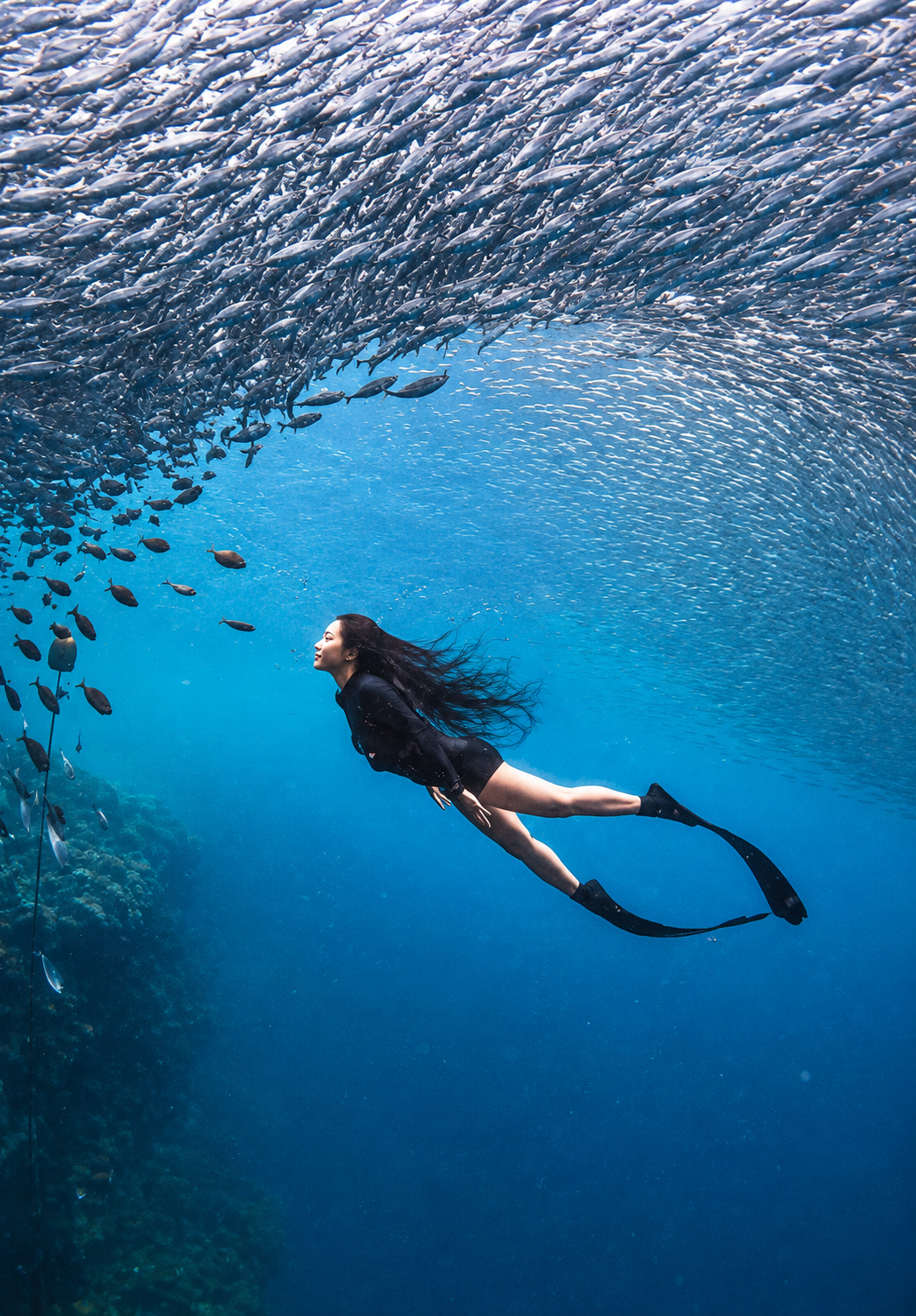 Moalboal: Canyoneering and Snorkeling Day Trip with Lunch 3