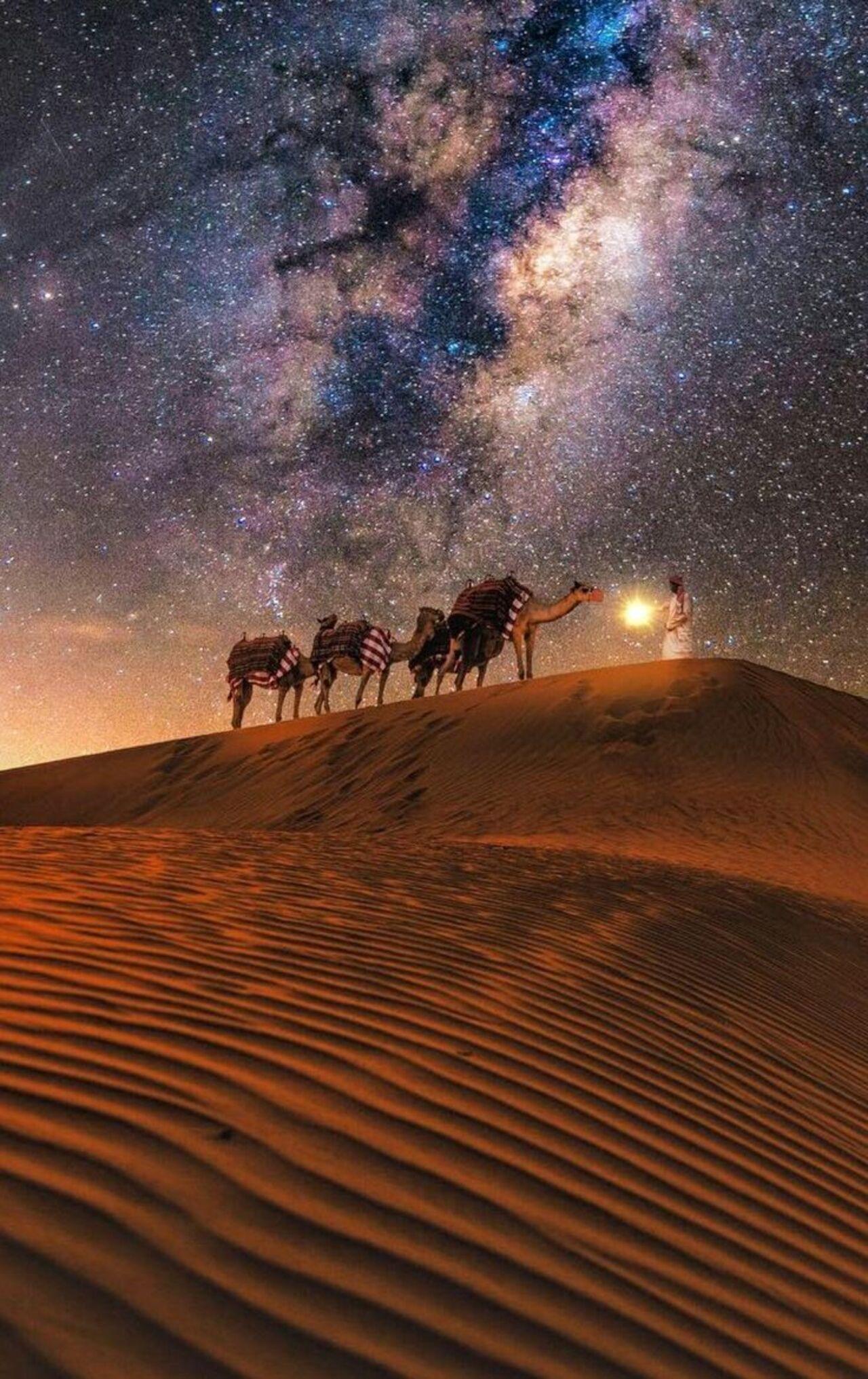 Wadi Rum: Private Sunset Dinner in the Desert for Couples 3