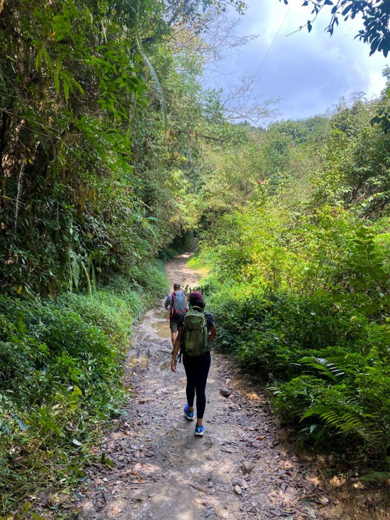 Kathmandu: Day Hike with Breakfast and Lunch 3