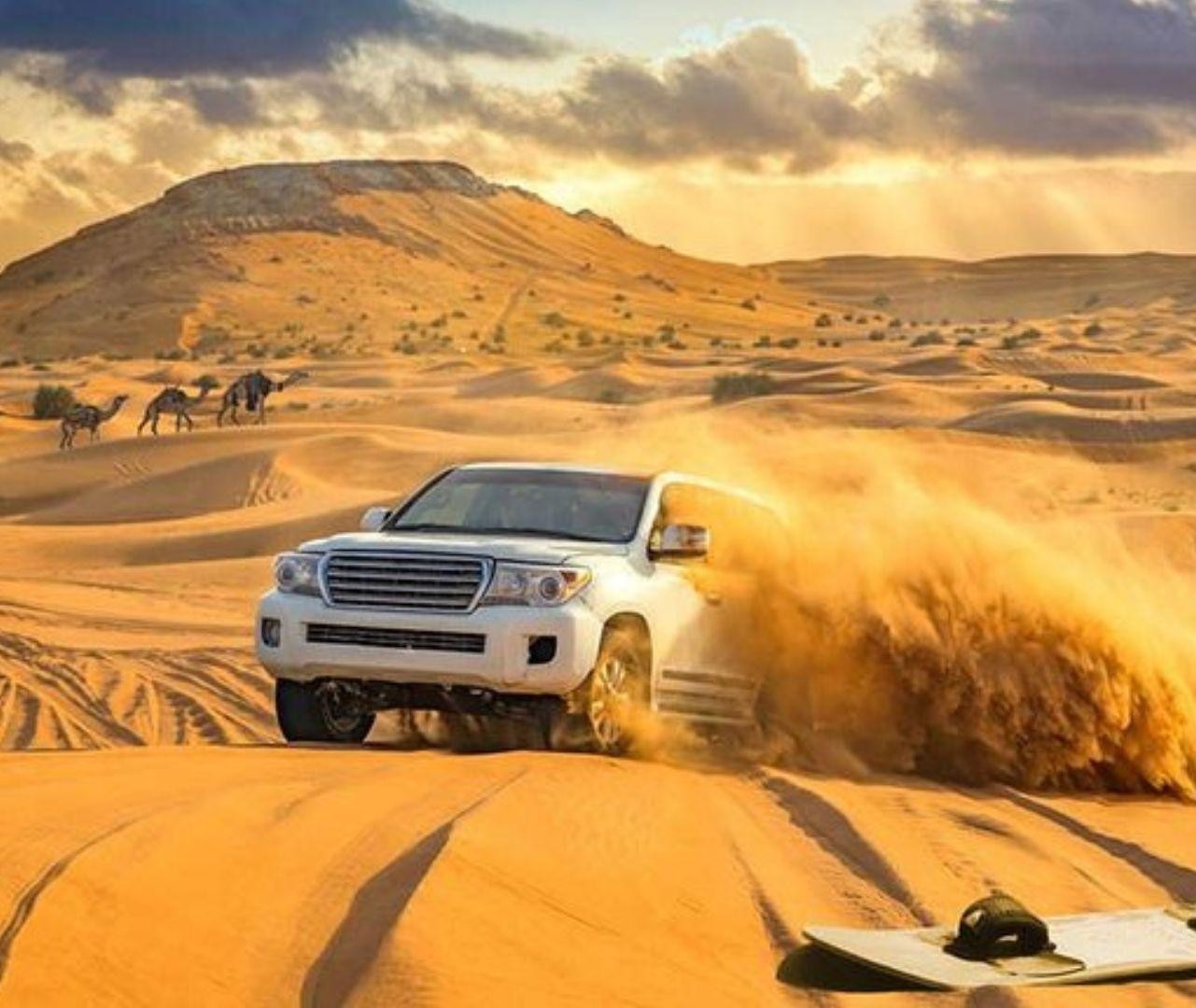 Doha: Inland Sea Guided Tour With Pickup and Drop Off 3