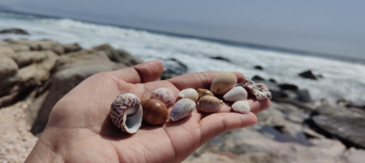 Salalah: Private 5-Day Dhofar Highlights Tour with Guide 3