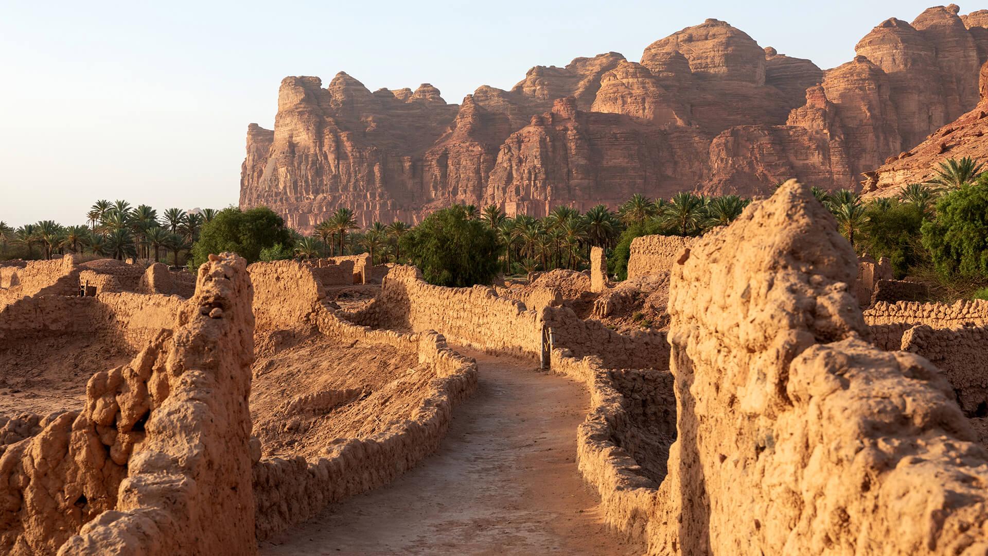 Oasis Adventure in Alula 3