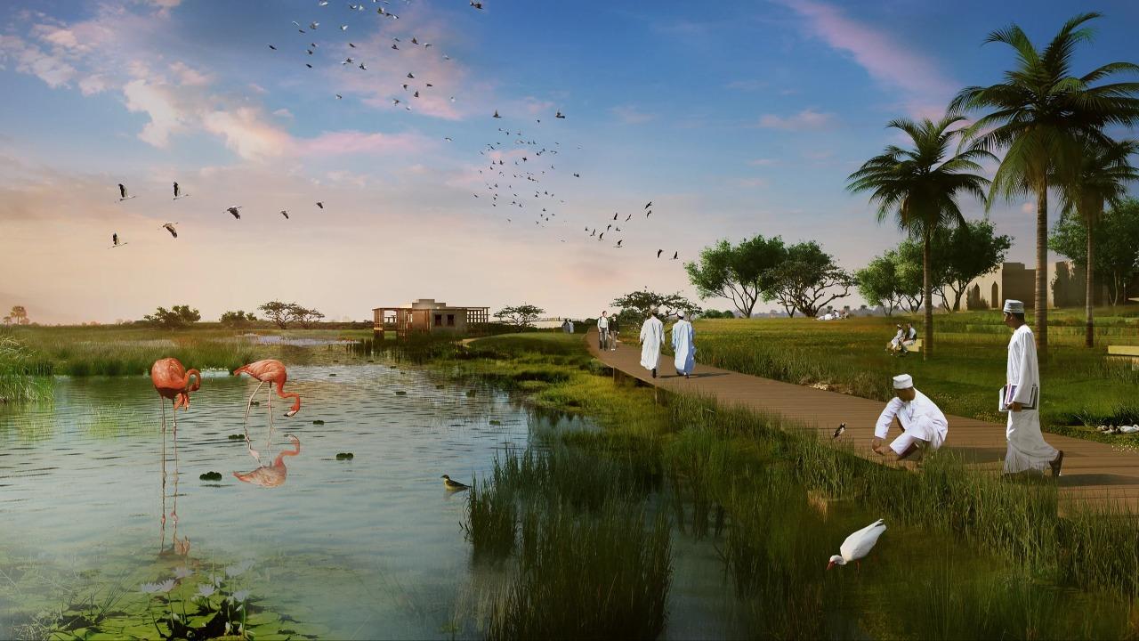 Salalah Bird Watching: Darbat, Rori & Awqad 2