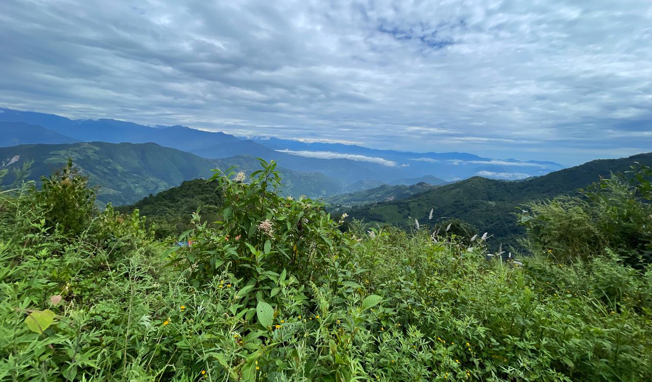 Kathmandu: Sundarijal to Dhap Dam Day Hike with Lunch 2