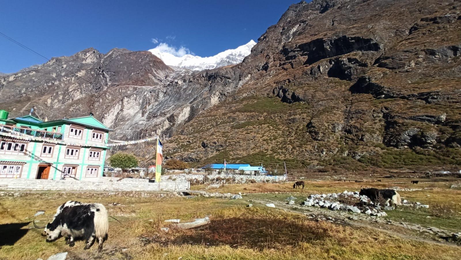 From Kathmandu: 5 Night 6 day Langtang valley trek 3