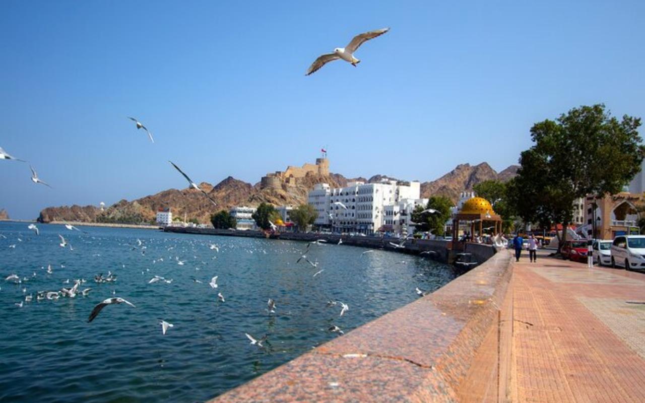 Muscat: Birdwatching Tour with Mosque Visit 2