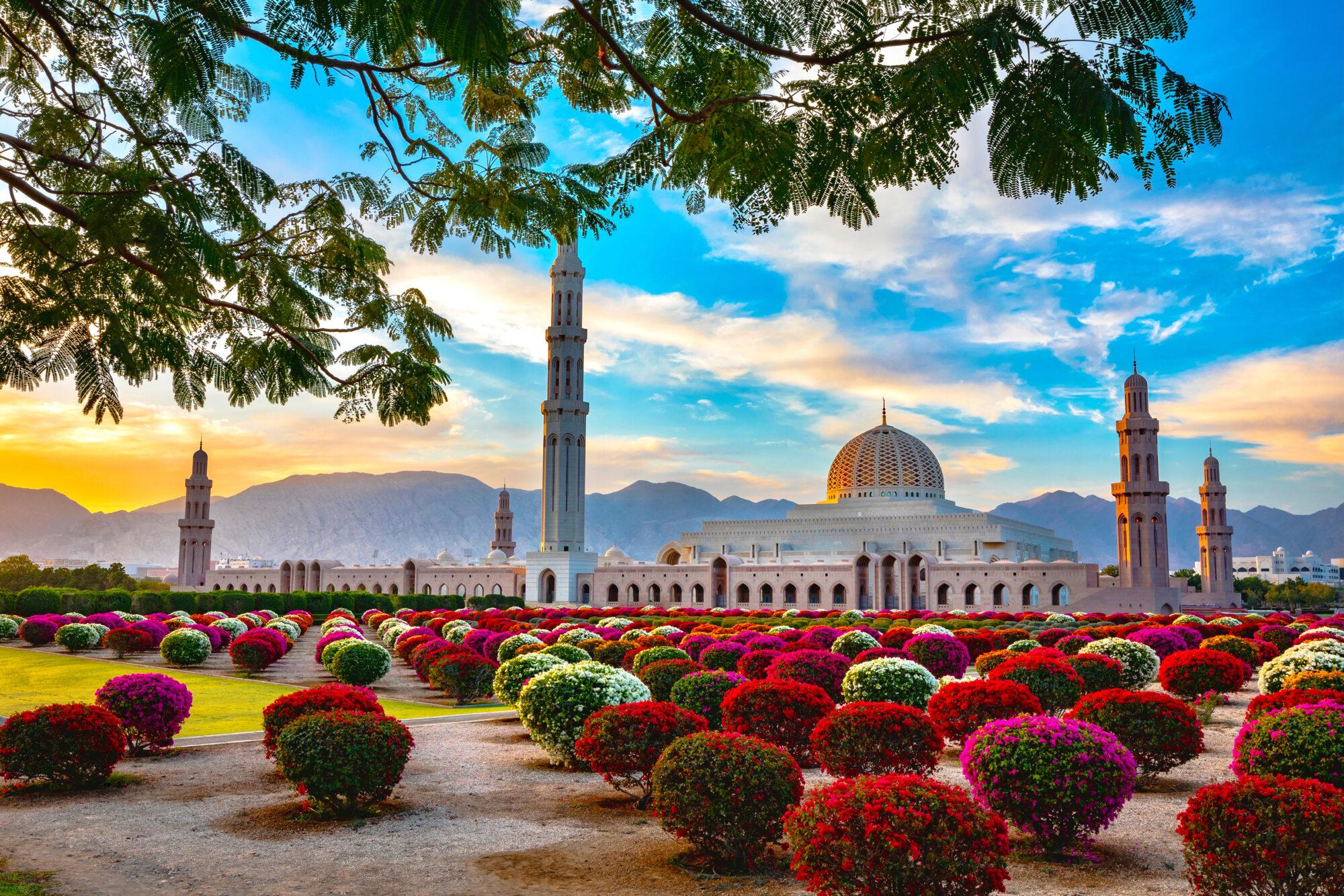 Dubai: Day Tour with Omani Lunch, Hotel Pickup, and Airfare