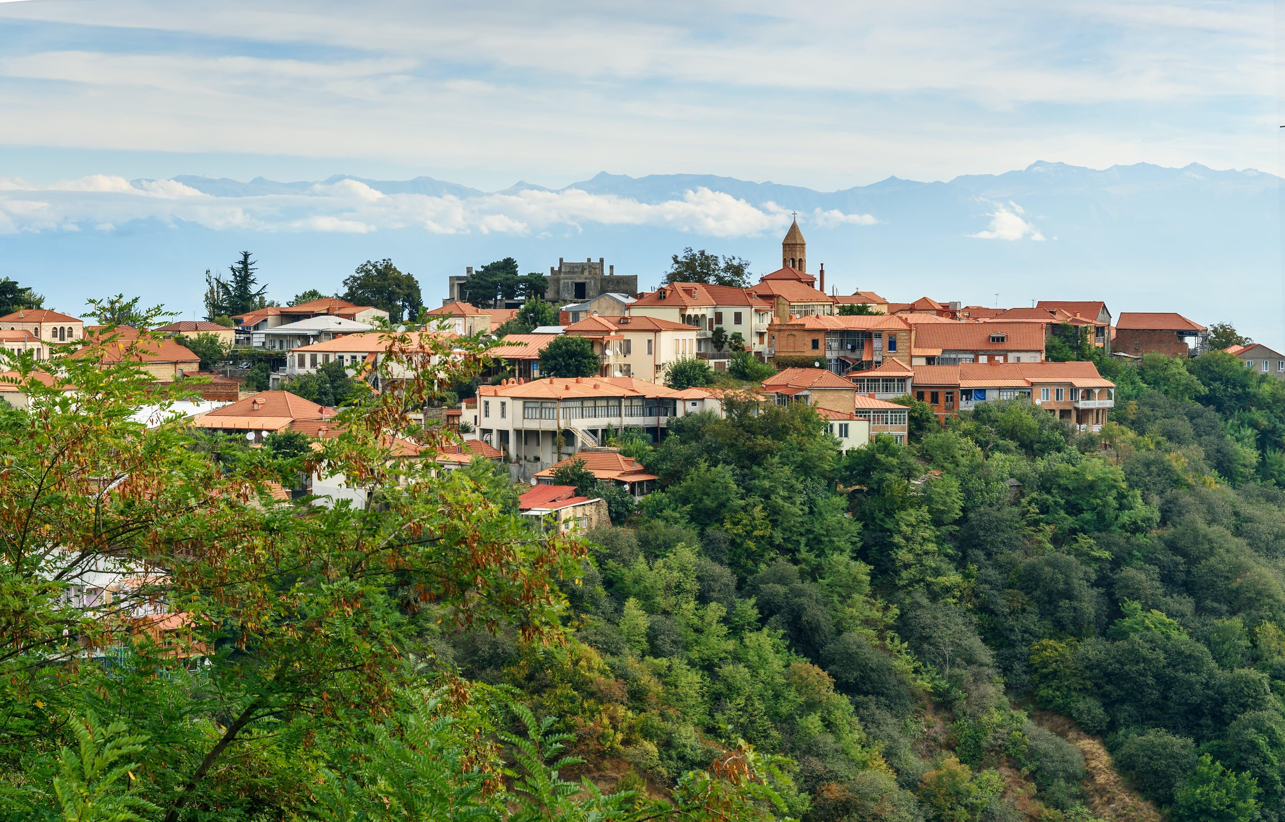 Best of Kakheti: Sighnaghi & Telavi + Tsinandali Wine Tour 2
