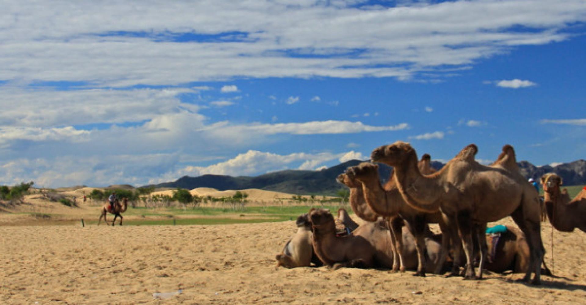 1 day: Mini Gobi Tour with Camel Ride & Lunch