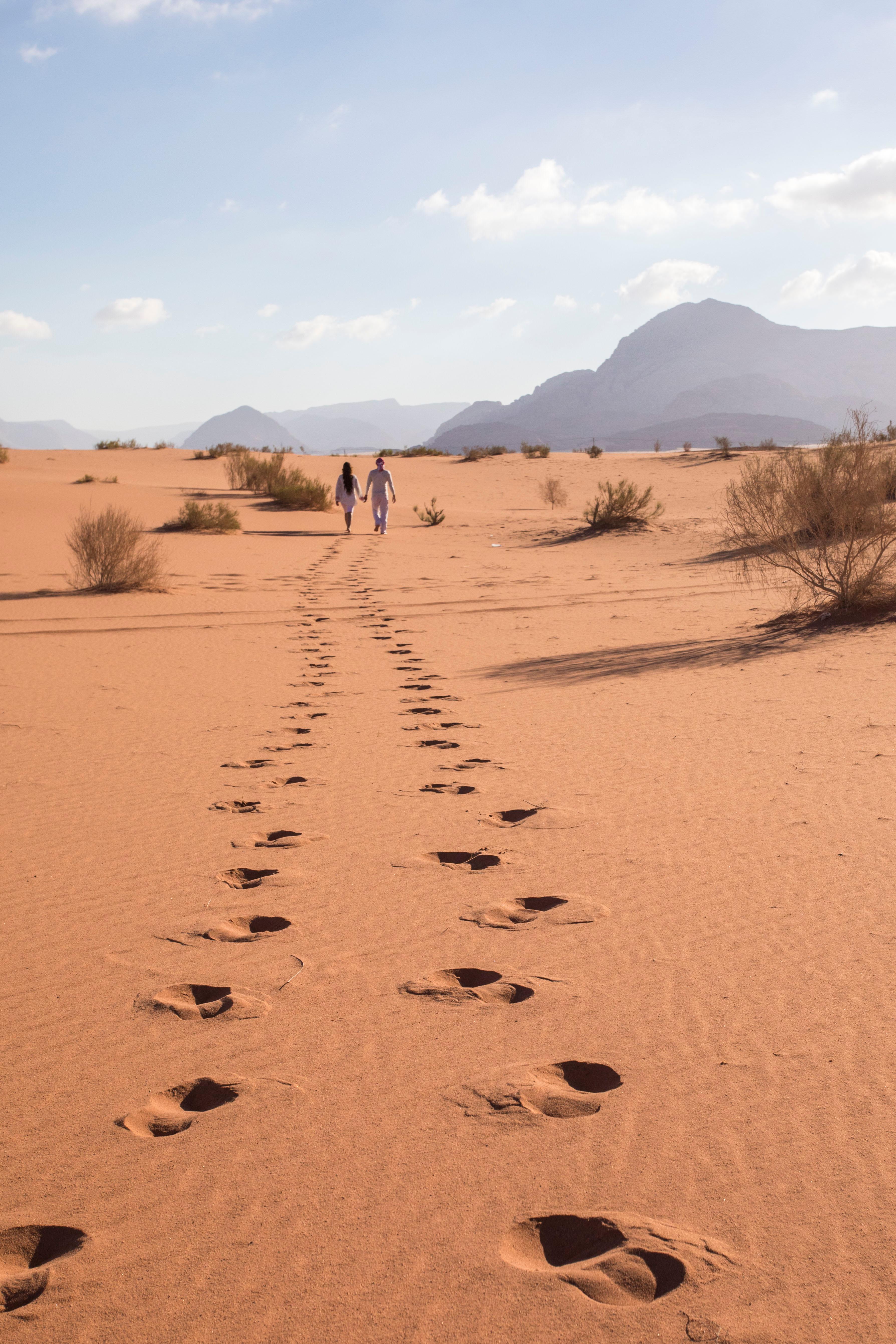 Wadi Rum 5-Day Nomadic Trekking & Wild Camping Adventure