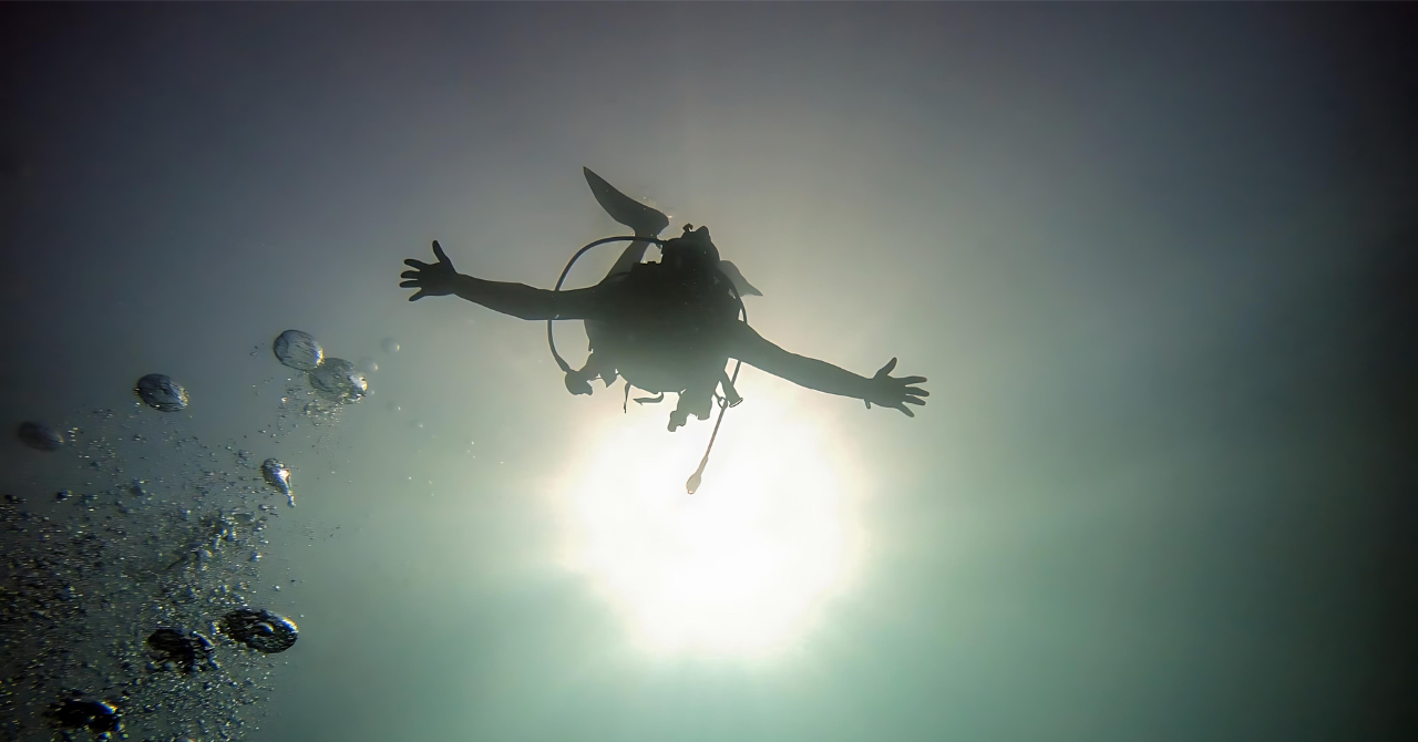 Aqaba Dive Adventure: Explore The Red Sea On A Tour 3